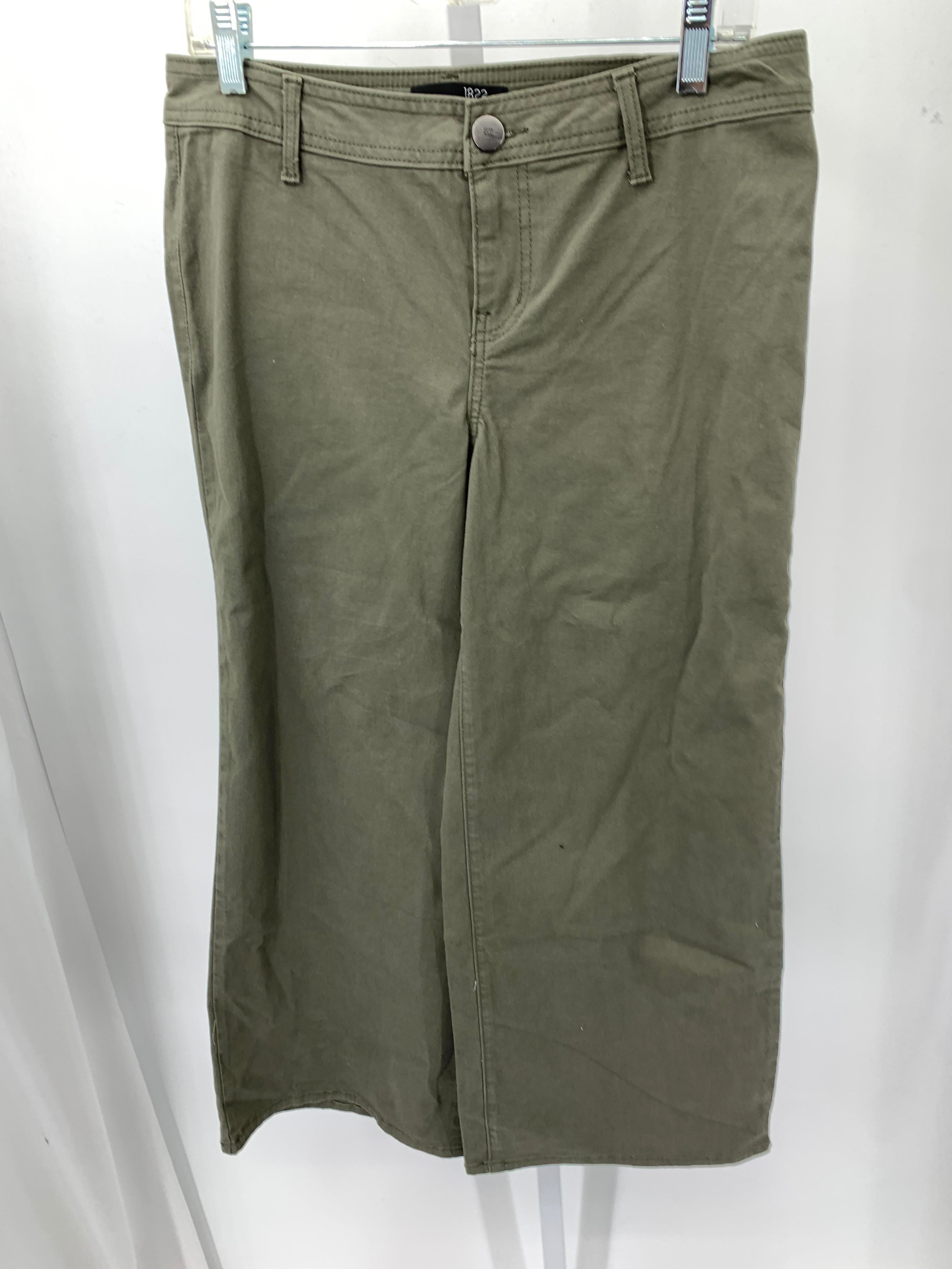 A Class Size 8 Misses Pants