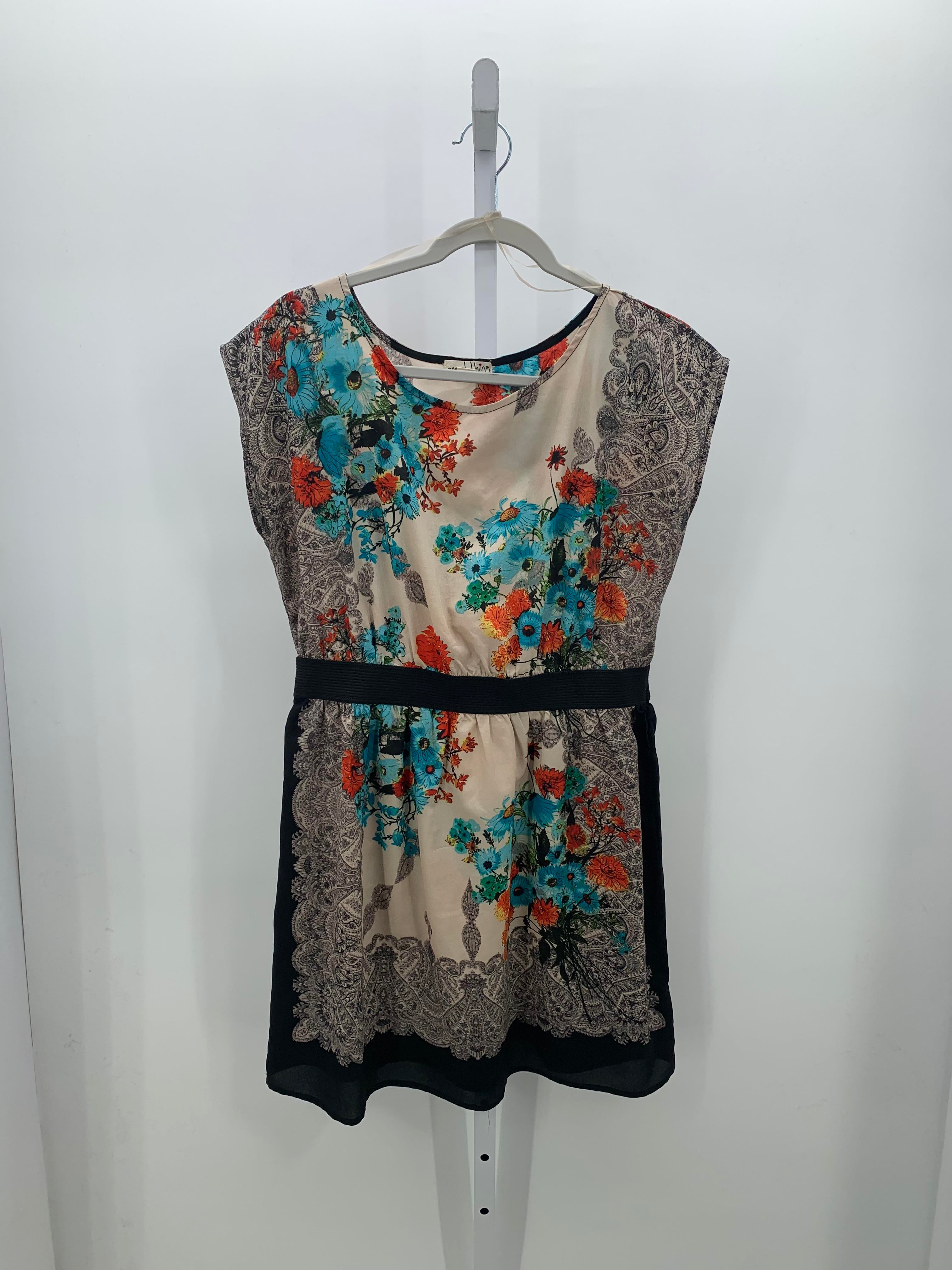 One Clothing Size Large Juniors Sleeveless Dress