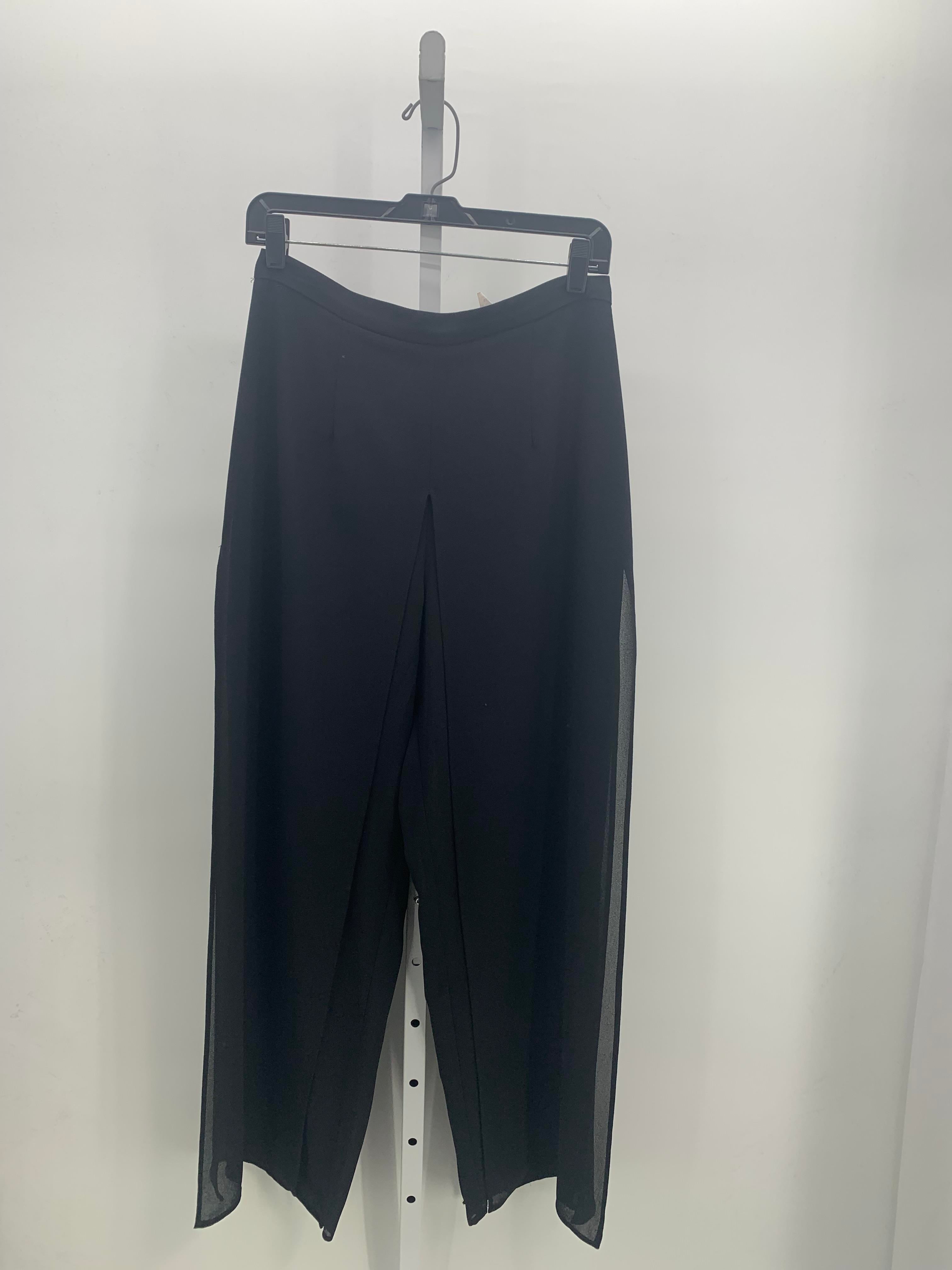 Dress Barn Size 10 Misses Pants