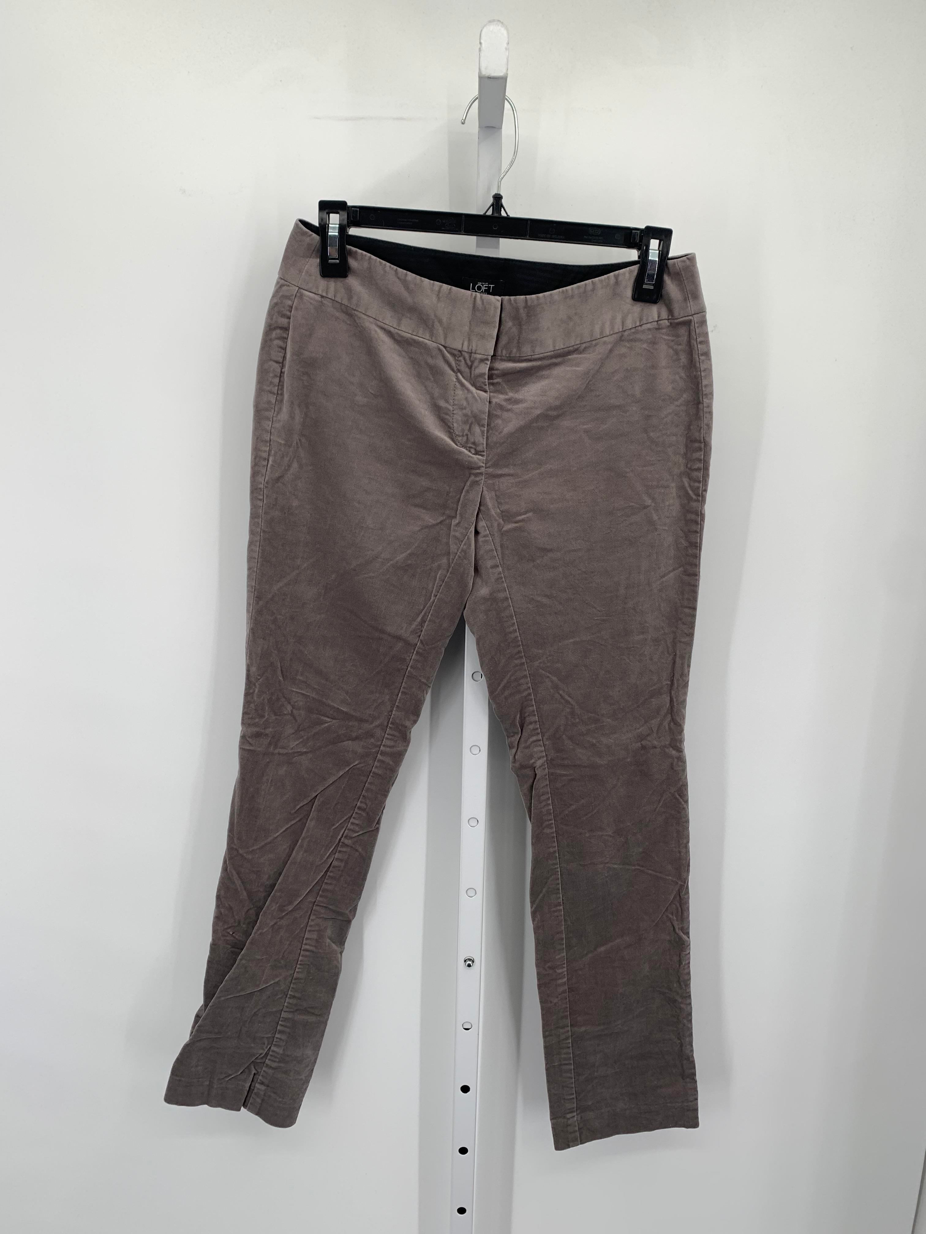 Loft Size 2 Petite Petite Pants