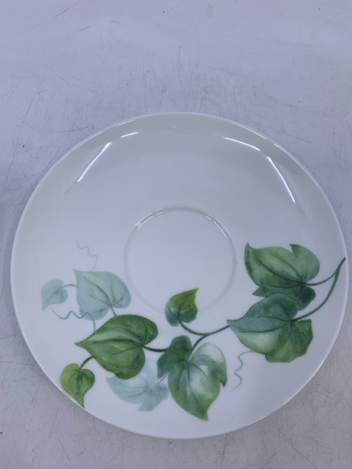 MORNING GLORY BLUE FLOWER.