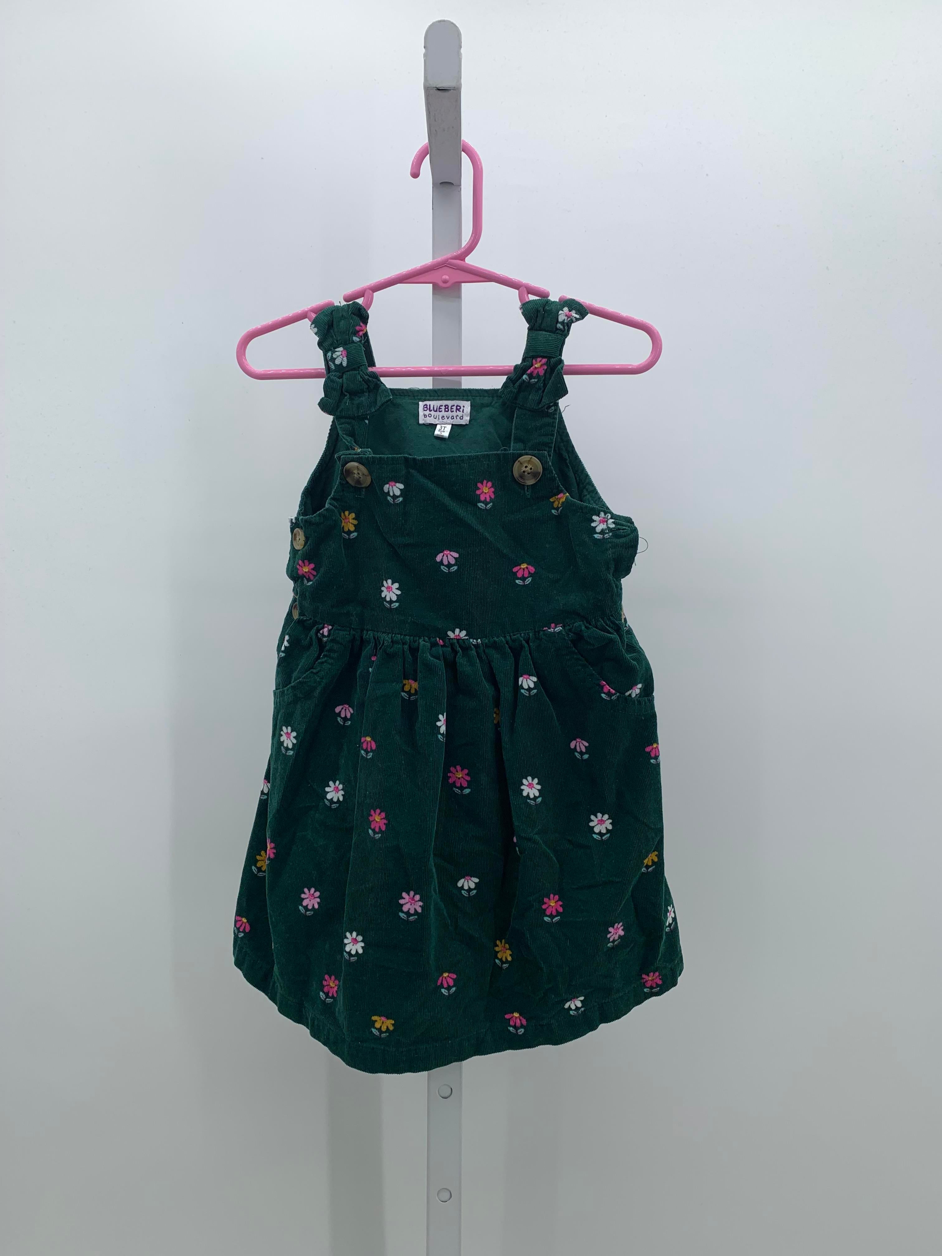 Blueberi Size 3T Girls Jumper