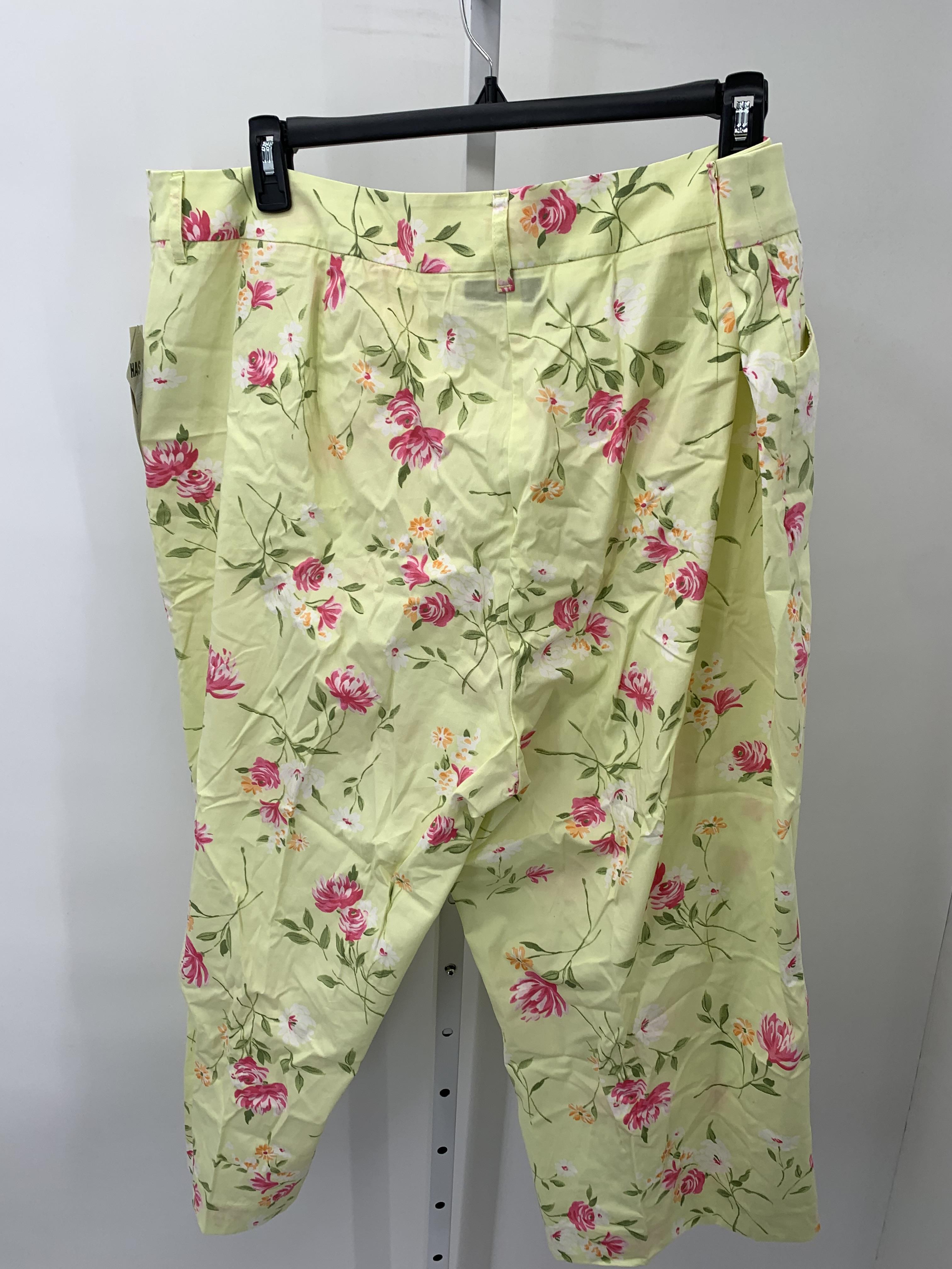 Jones New York Size 24 W Womens Capri Pants