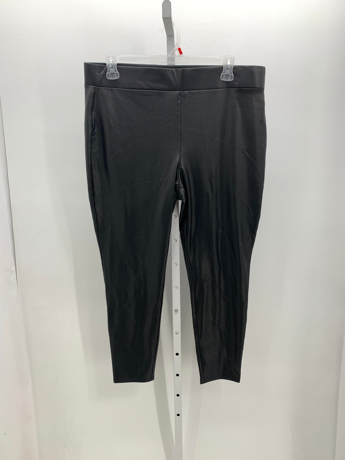 Loft Size XXL Misses Pants