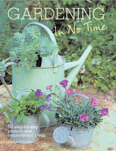 Gardening in No TIme: 50 Step-by-step Projects and Inspirational Ideas by Tessa