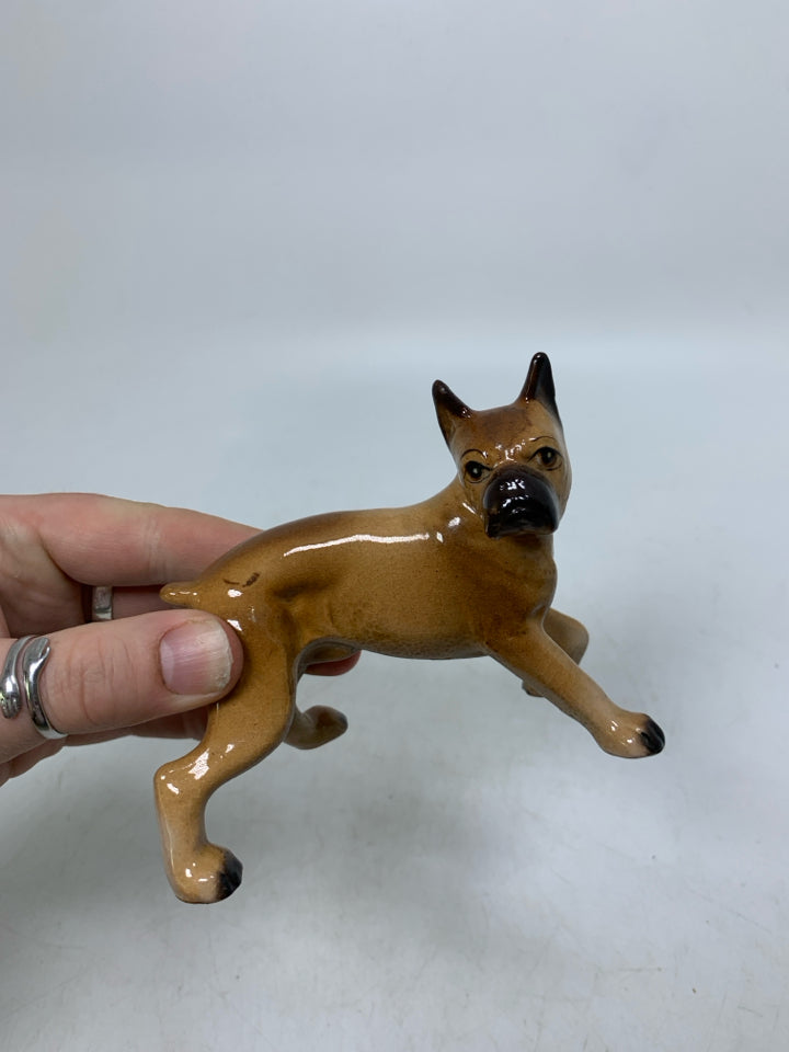 BROWN BOXER DOG STANDING.