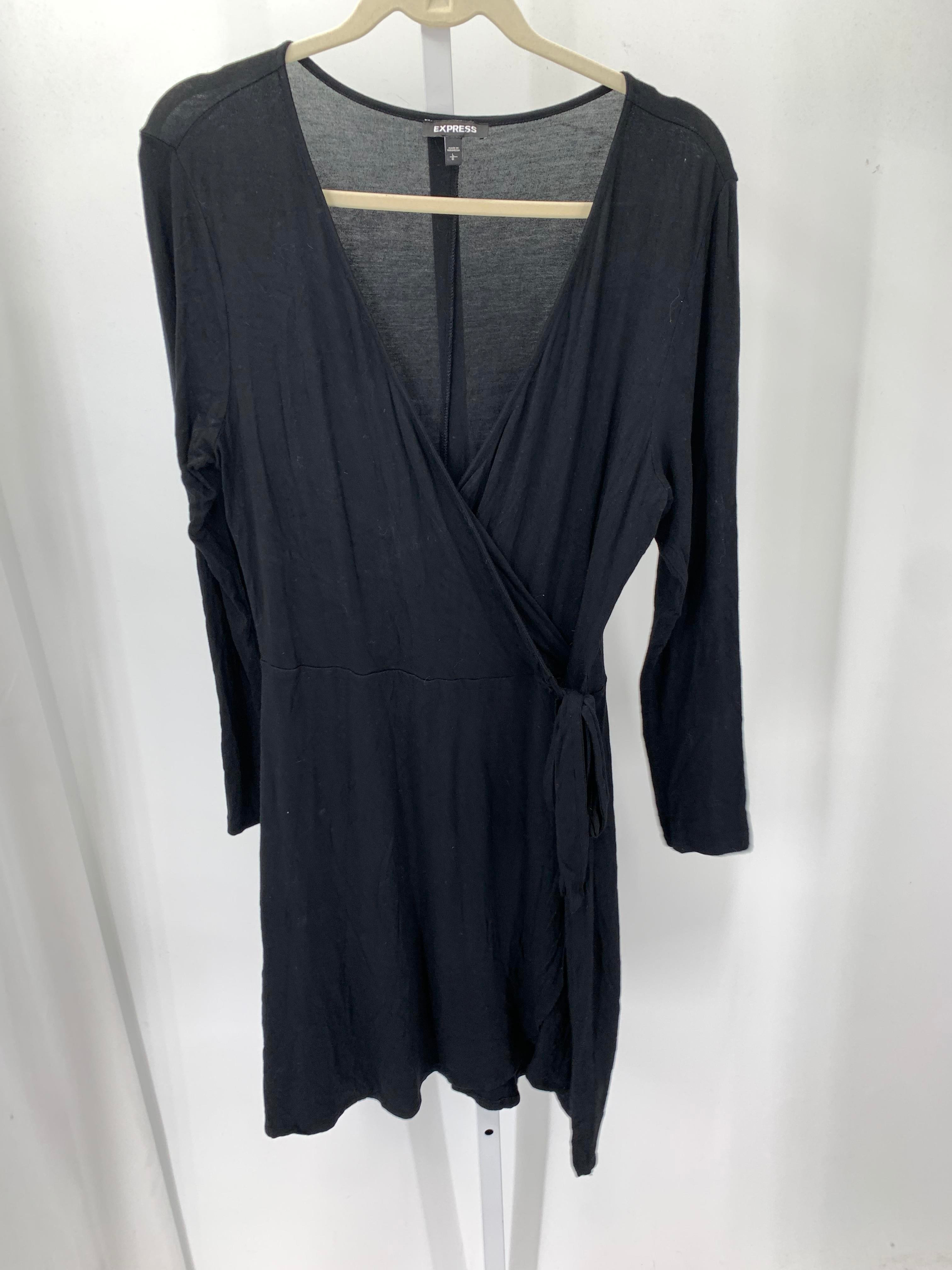 Express Size Large Misses Long Sleeve Dress
