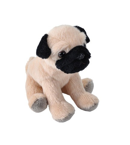 Pocketkins - Eco Pug