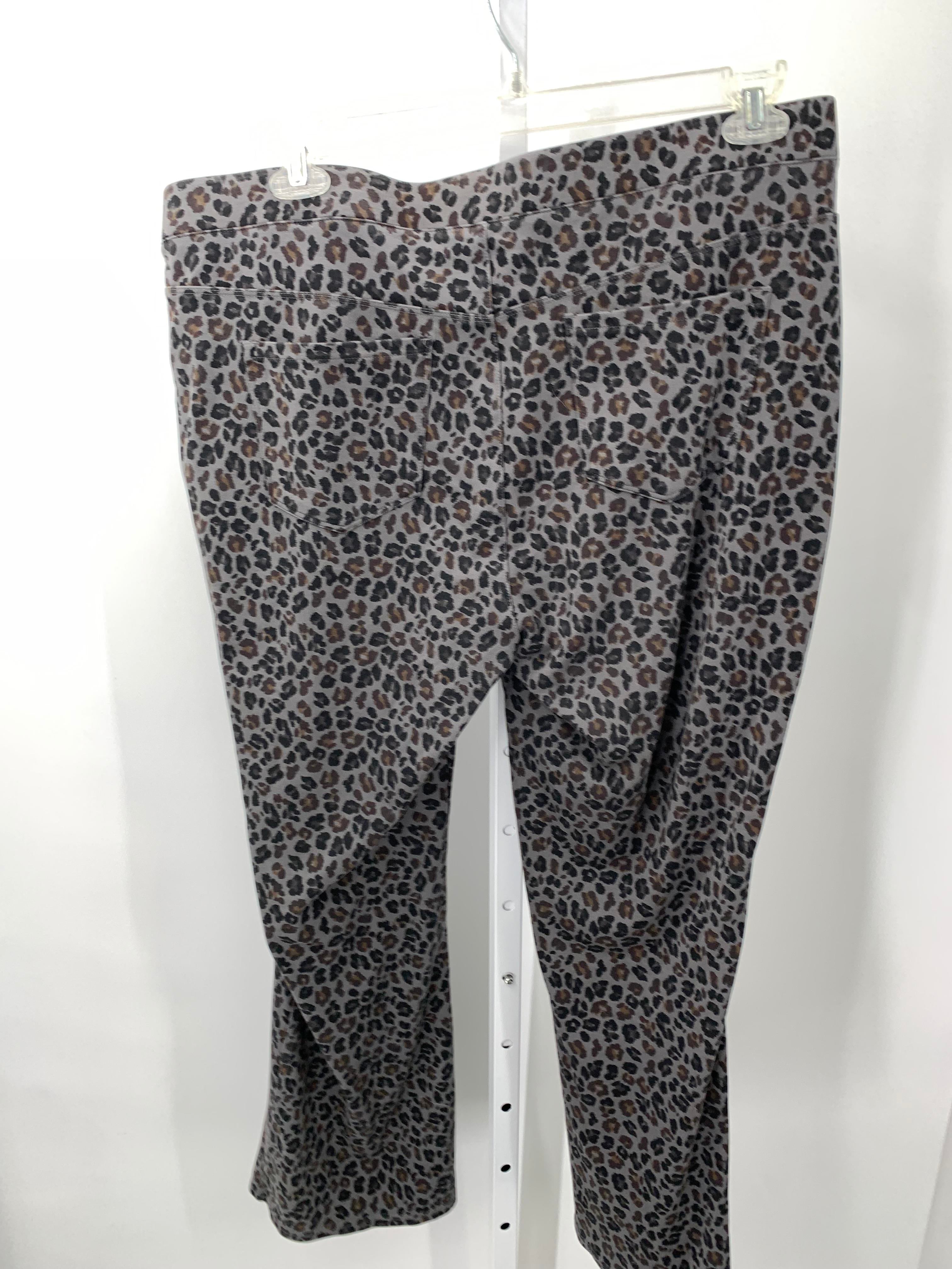 dg2 Size 1XP Womens Pants