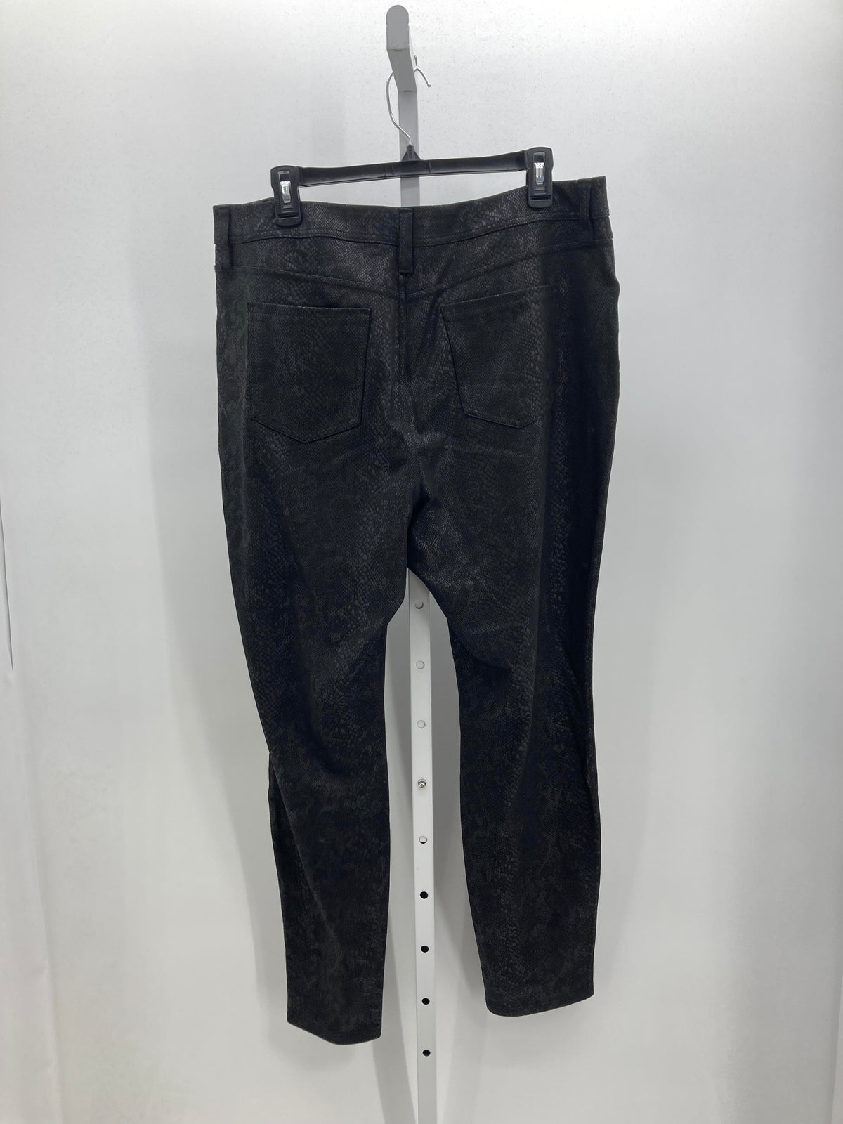 Vera Wang Size Extra Large Misses Pants