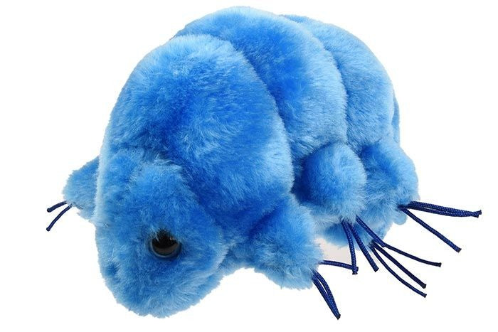 GIANT Microbes Waterbear