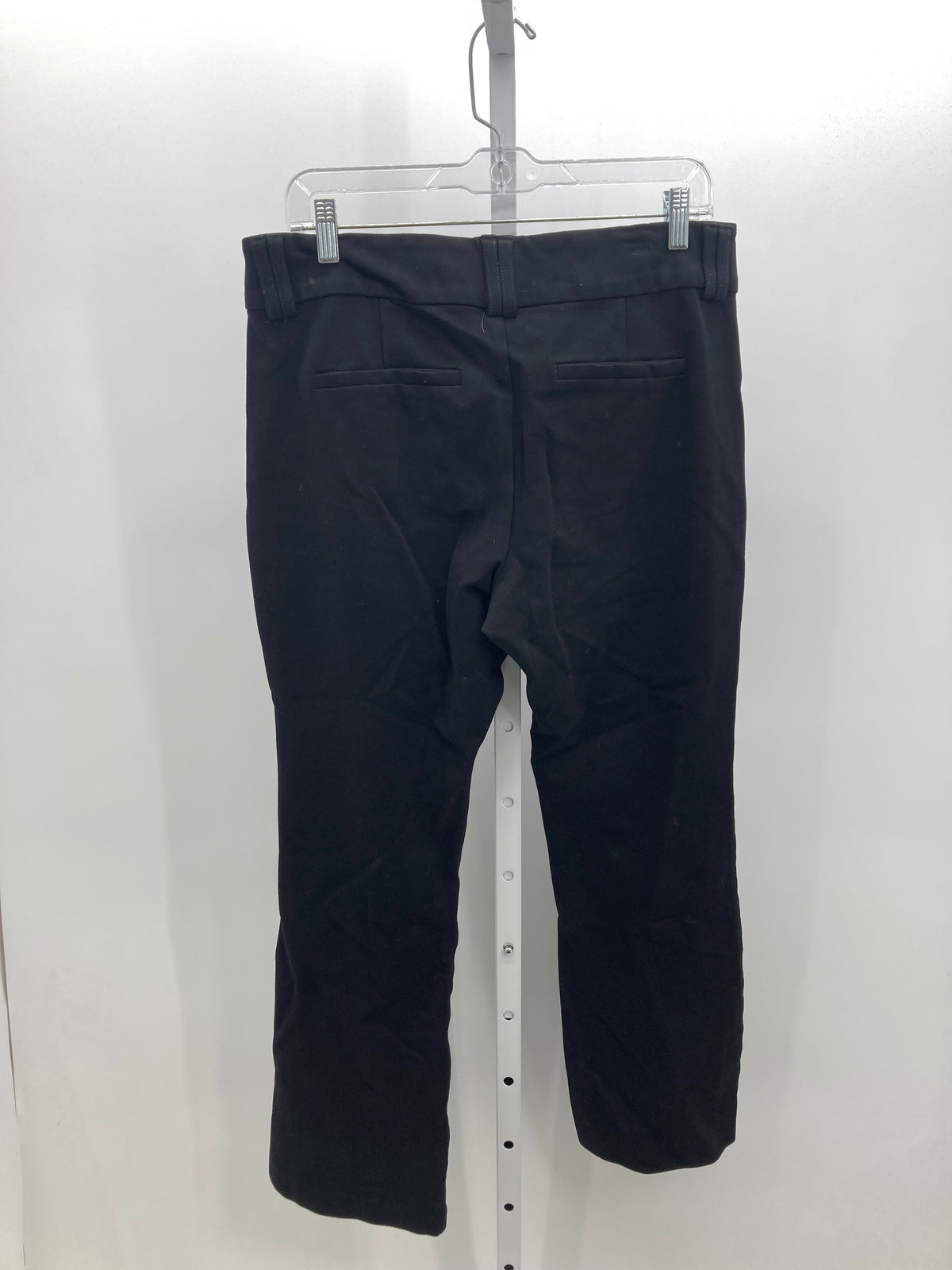 Studio Size 12 Short Misses Pants