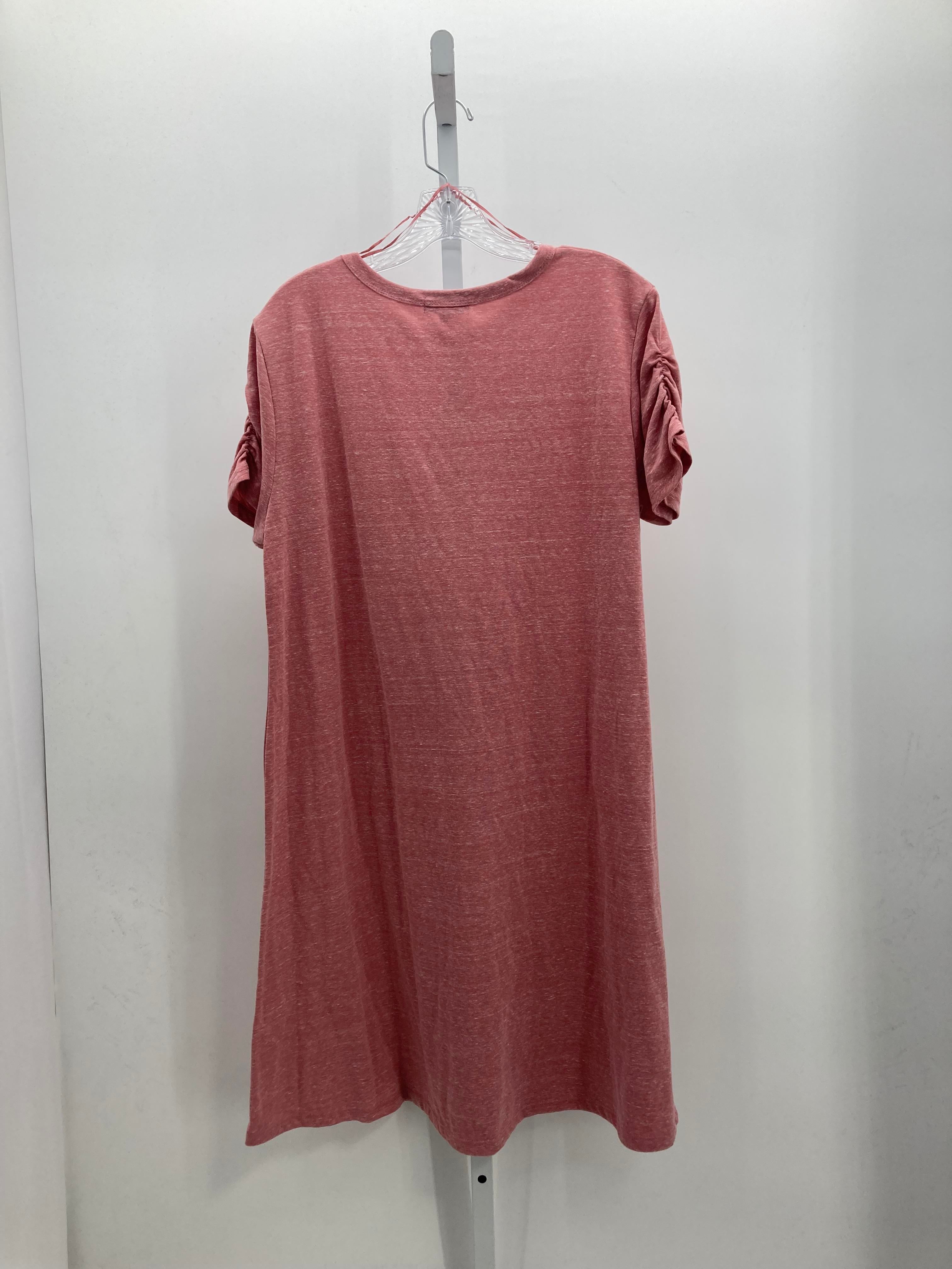 Size Extra Large Misses Short Sleeve Dress