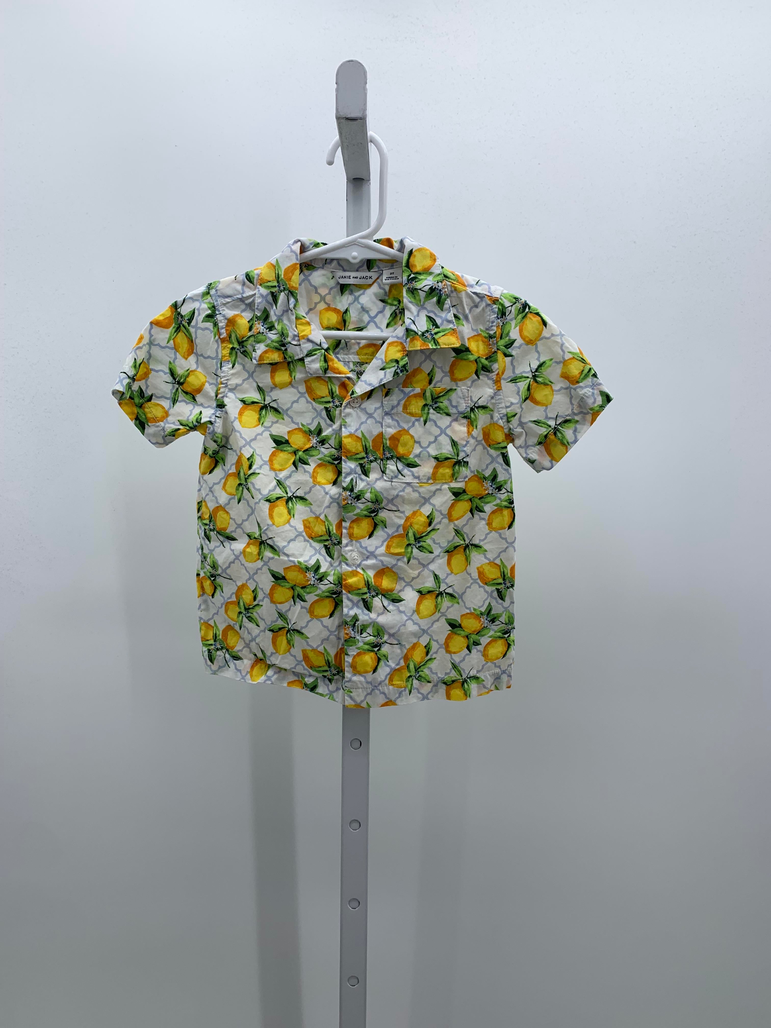 FRUIT PATTERN BTN DOWN