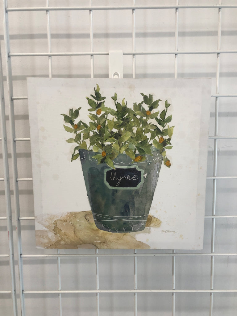 THYME CANVAS.