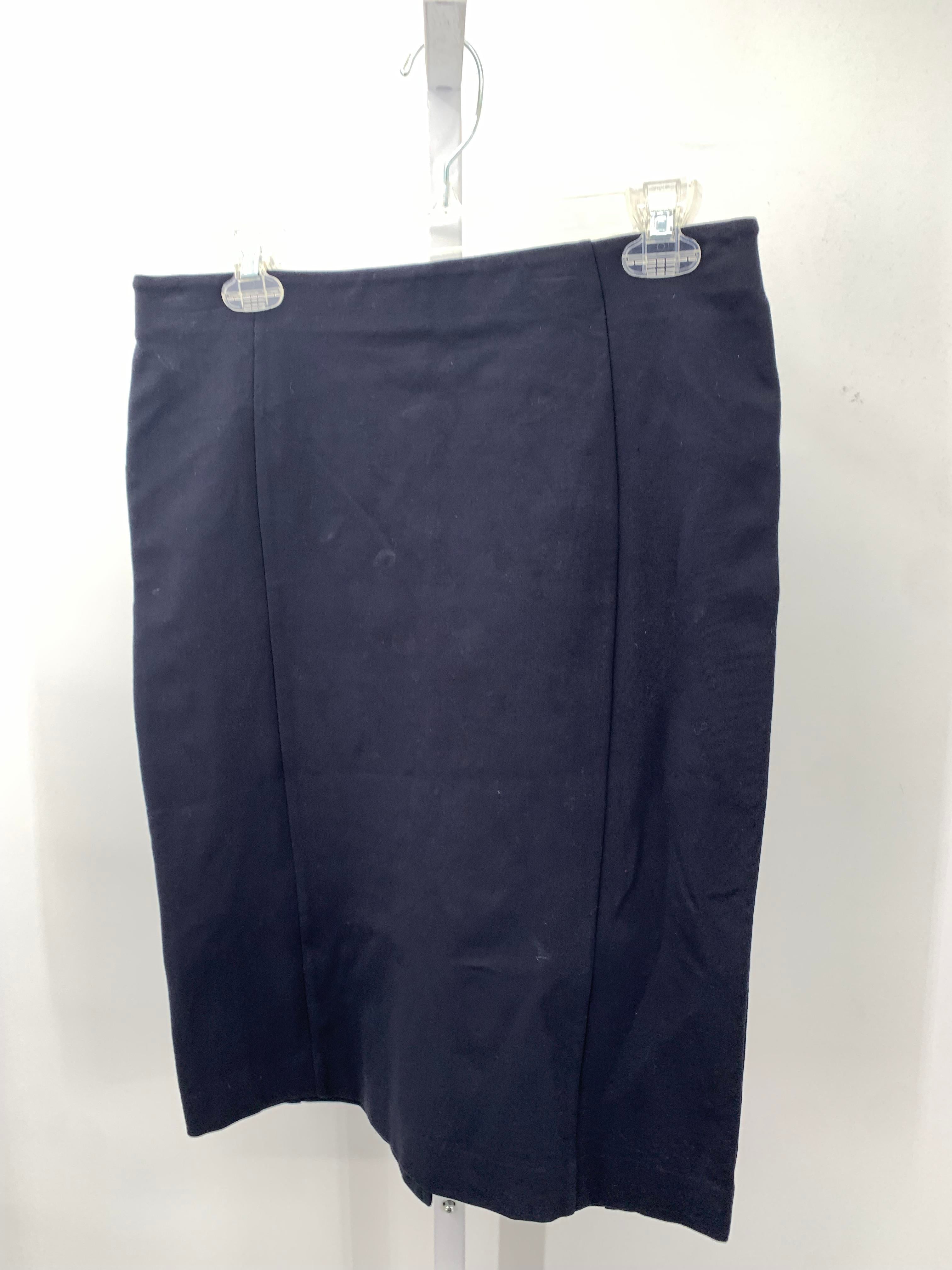 Ann Taylor Size 8 Misses Skirt