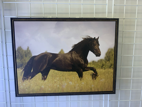 BROWN HORSE IN FIELD CANVAS WALL HANGING W/ BLACK FRAME.