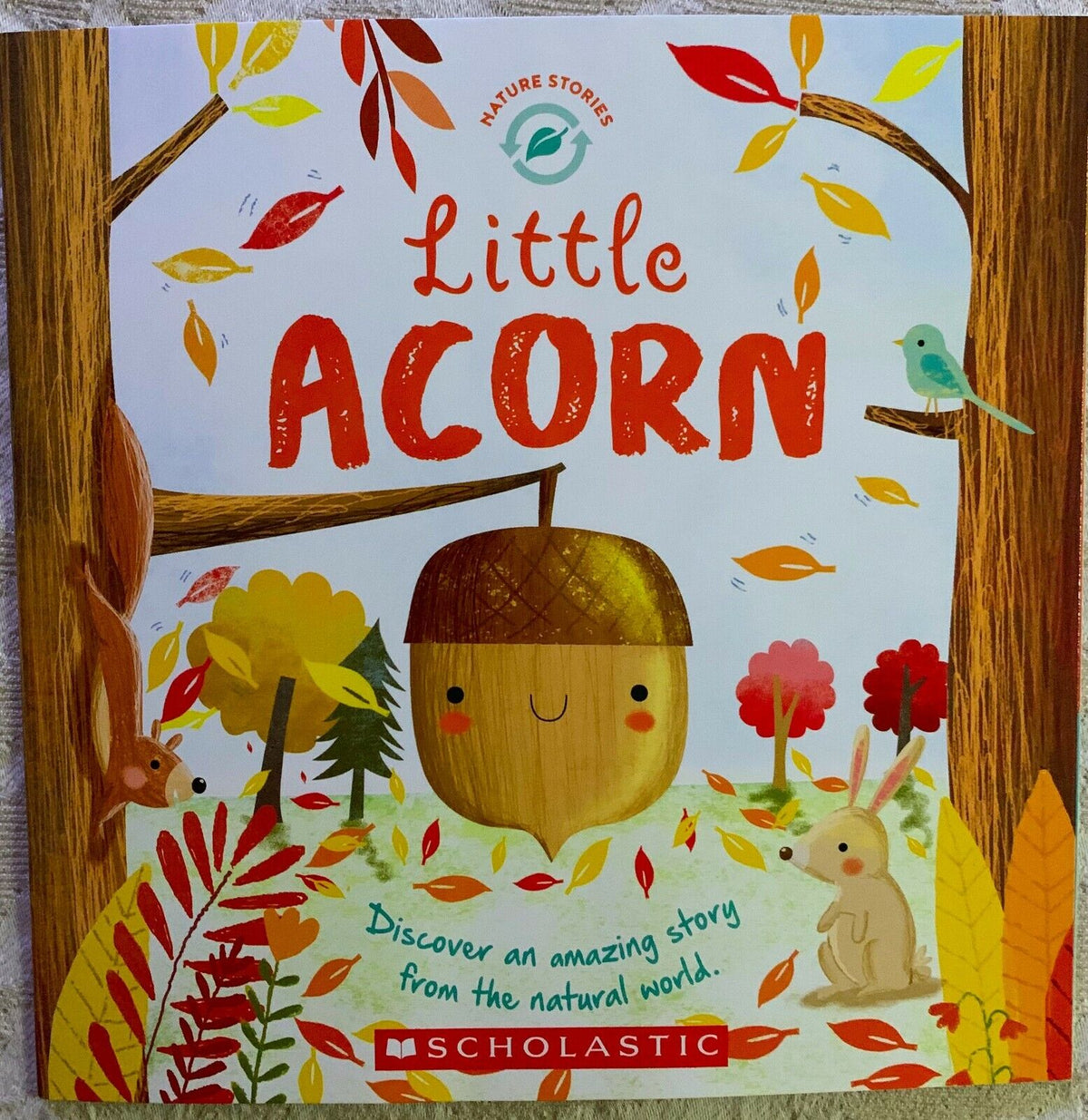 Little Acorn