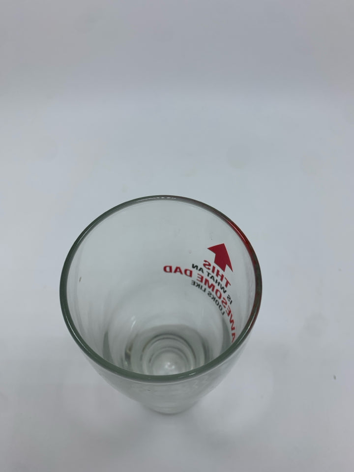 THIS IS WHAT AN AWESOME DAD LOOKS LIKE PILSNER GLASS.