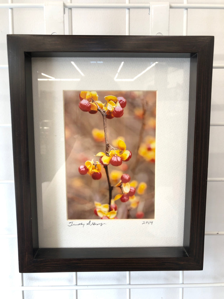 BERRIES ON TREE WALL HANGING IN DARK FRAME.