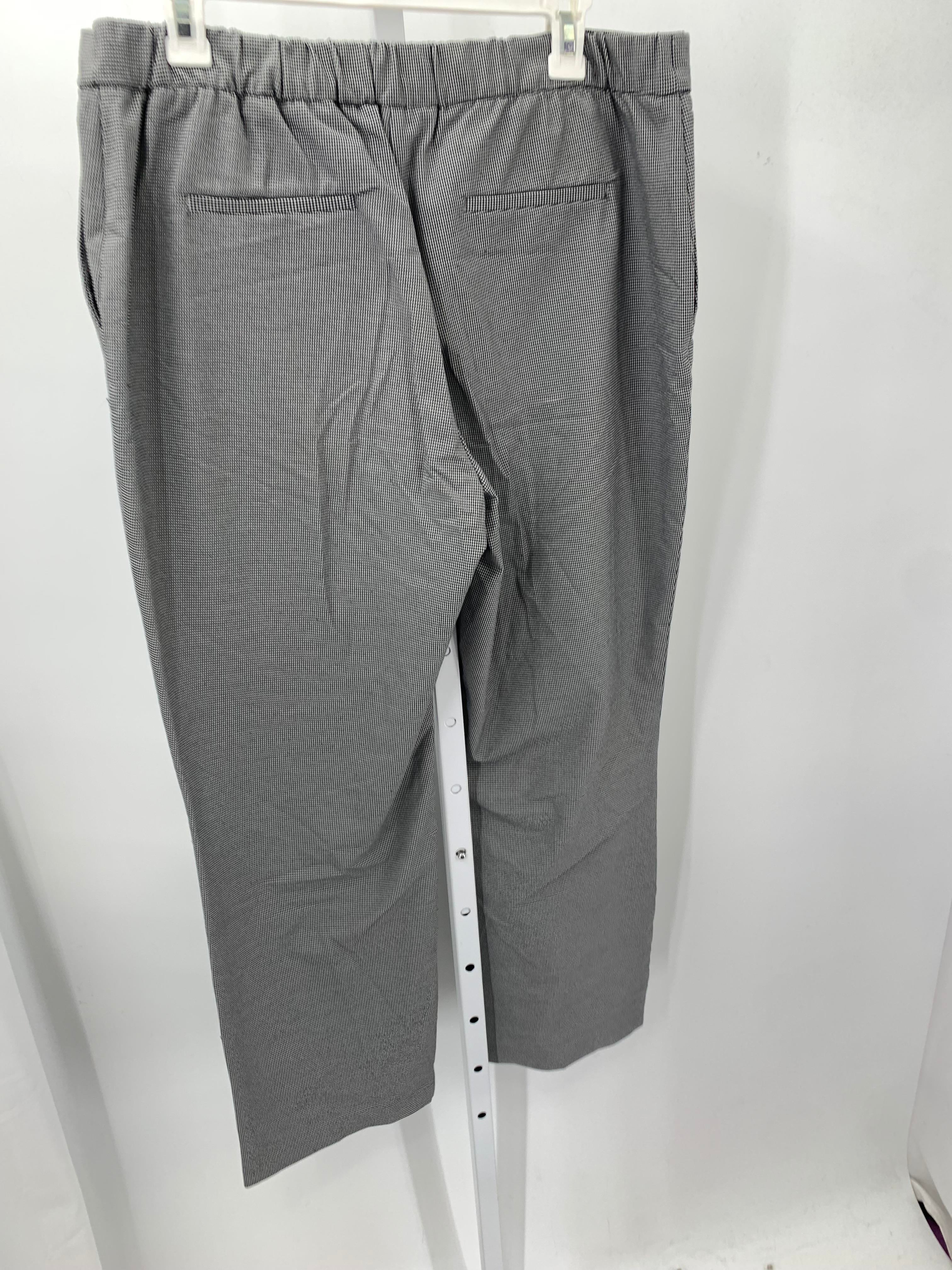 Rachel Zoe Size 14 Misses Pants