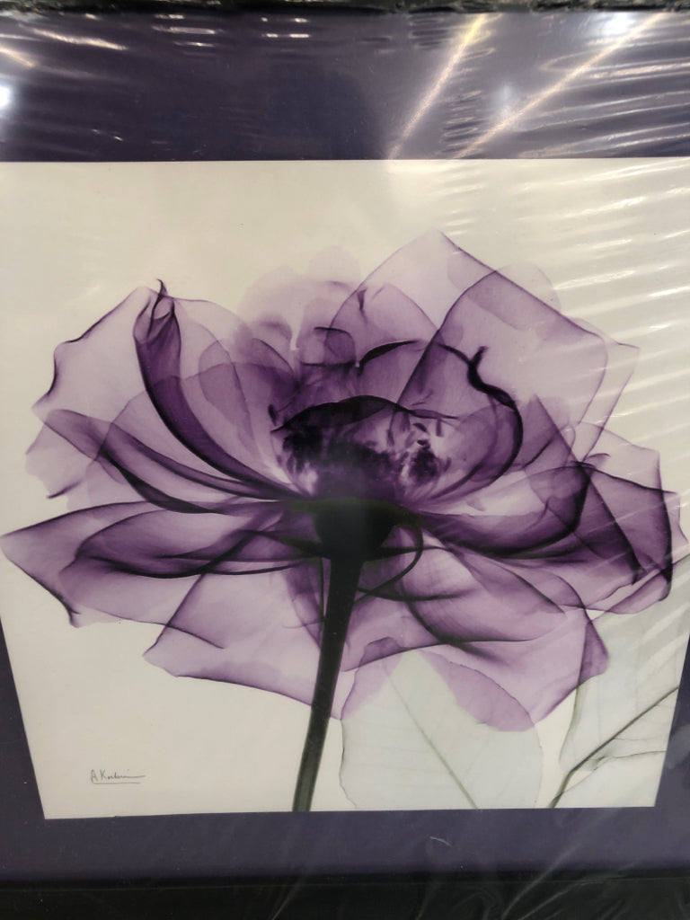 PURPLE ROSE XRAY PRINT IN BLACK FRAME.