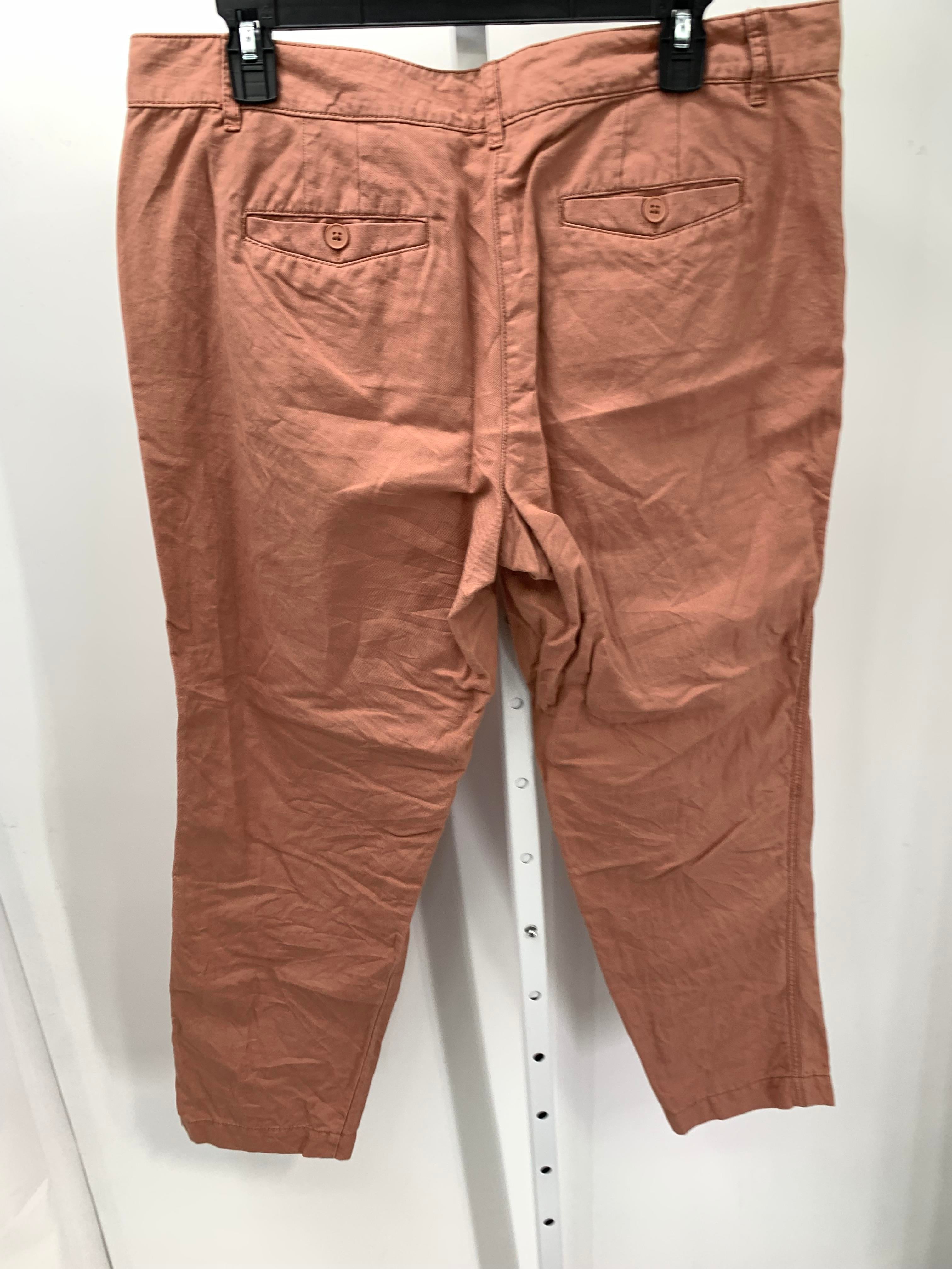 Loft Size 10 Misses Pants
