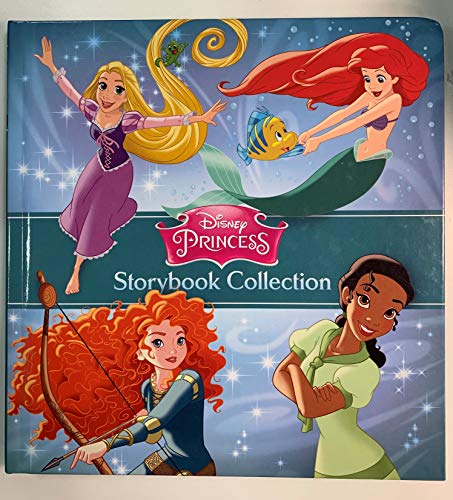 2020 Bf Disney Princess - Rebecca L Schmidt