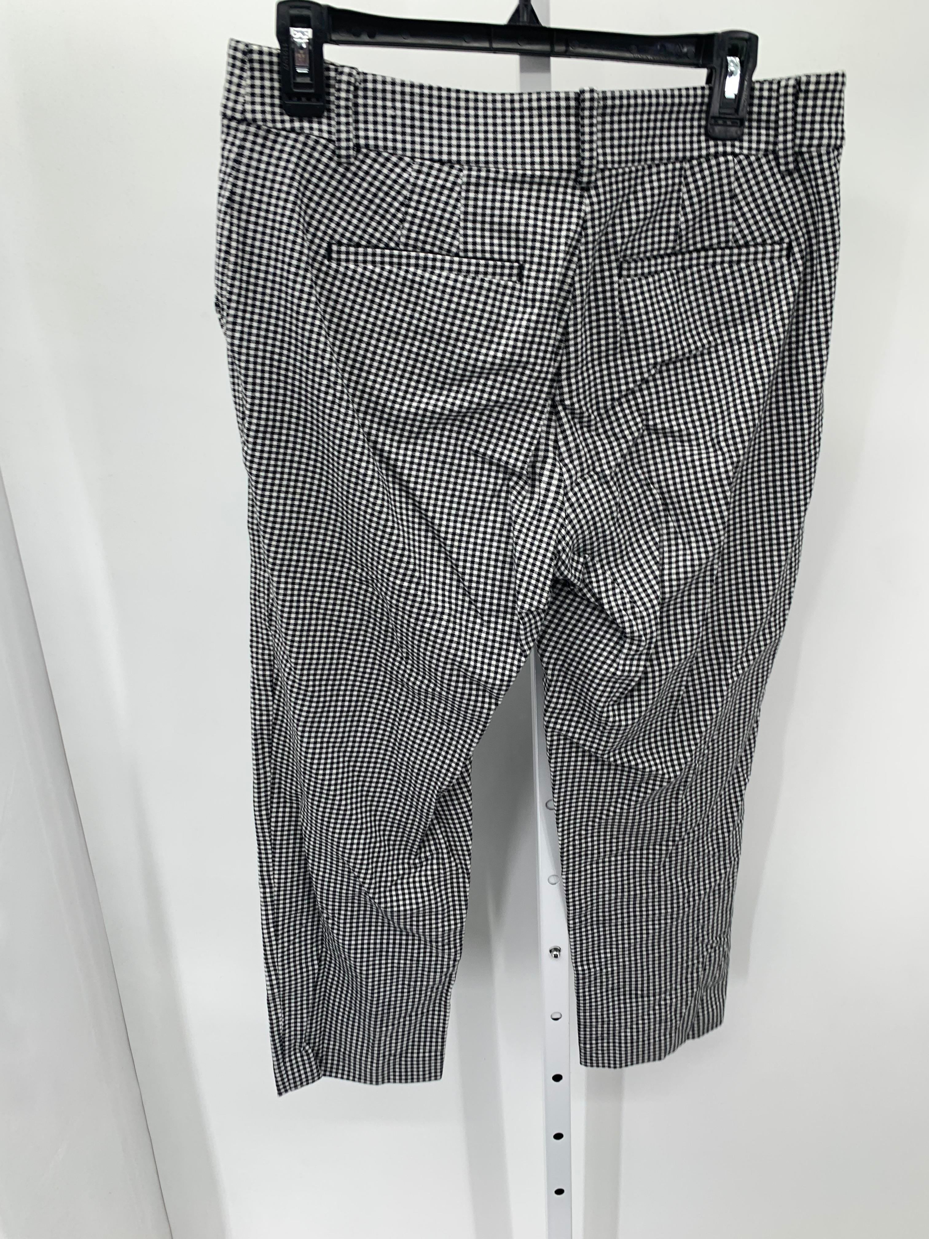 Loft Size 6 Misses Pants