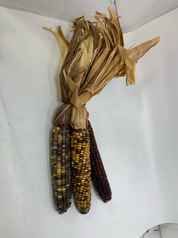 3 COLORED CORN BUNCH.