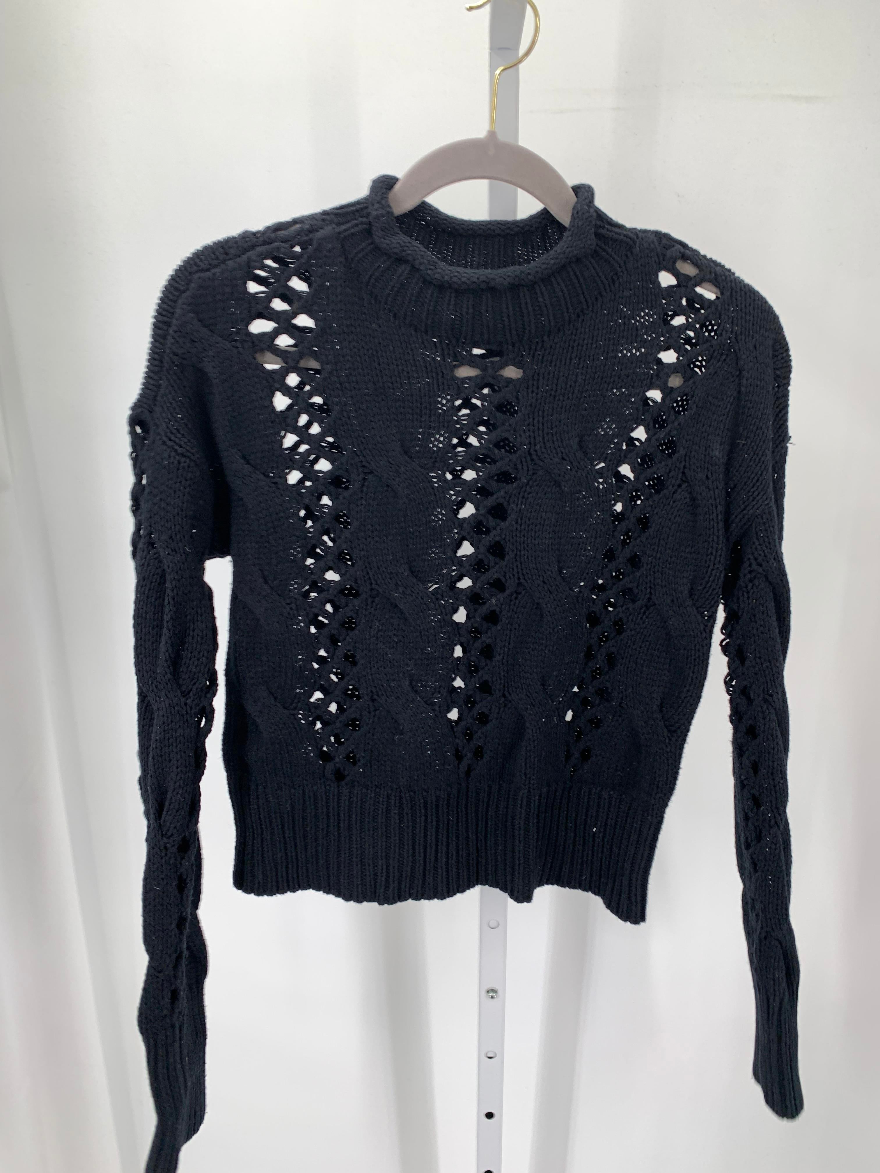 Express Size Small Misses Long Slv Sweater