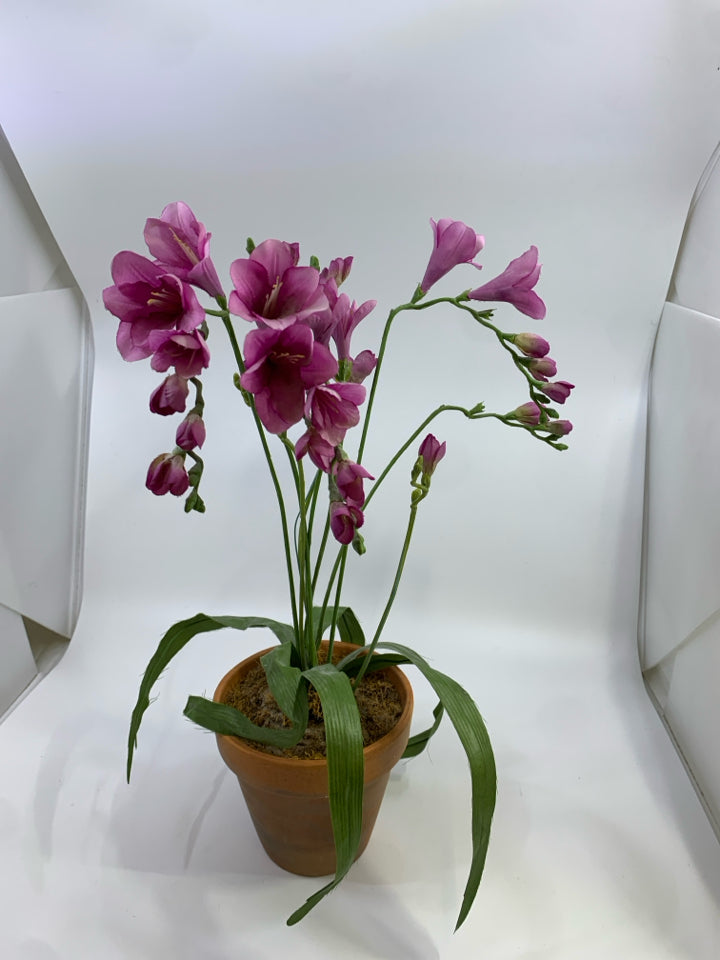 FAUX PURPLE ORCHID FLOWERS IN TERRA COTTA POT.