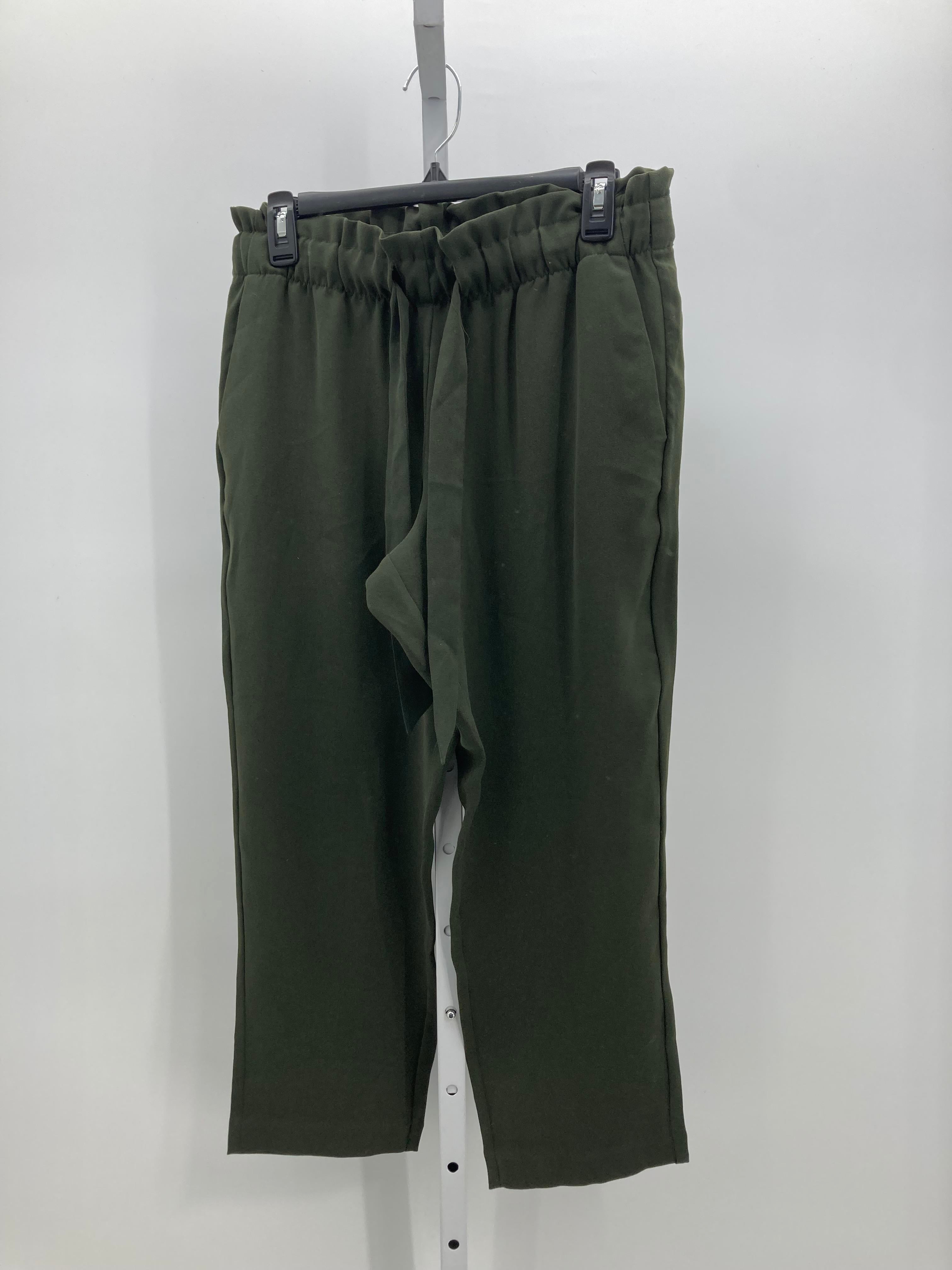 Loft Size Medium Petite Petite Pants