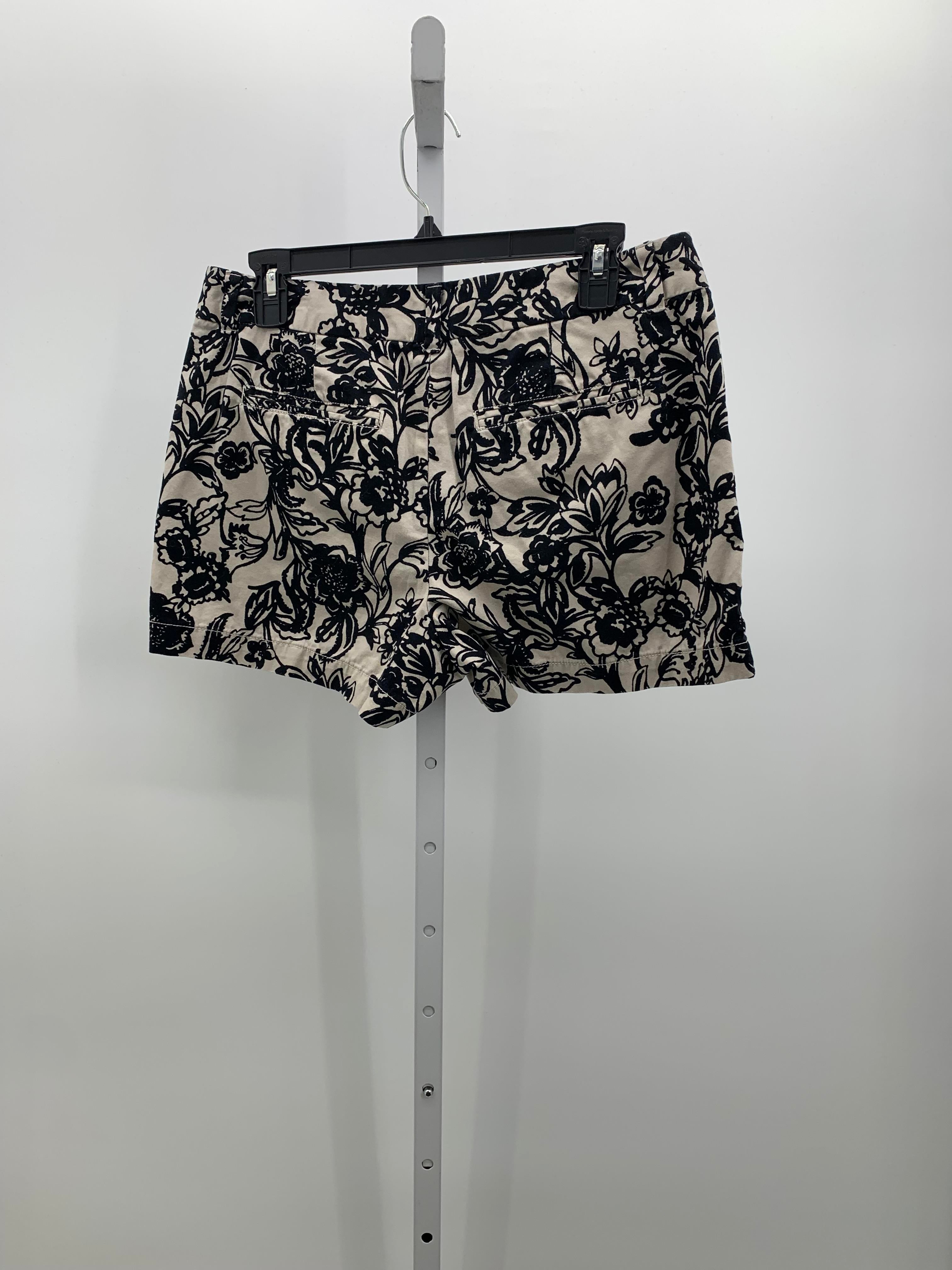 Loft Size 6 Misses Shorts