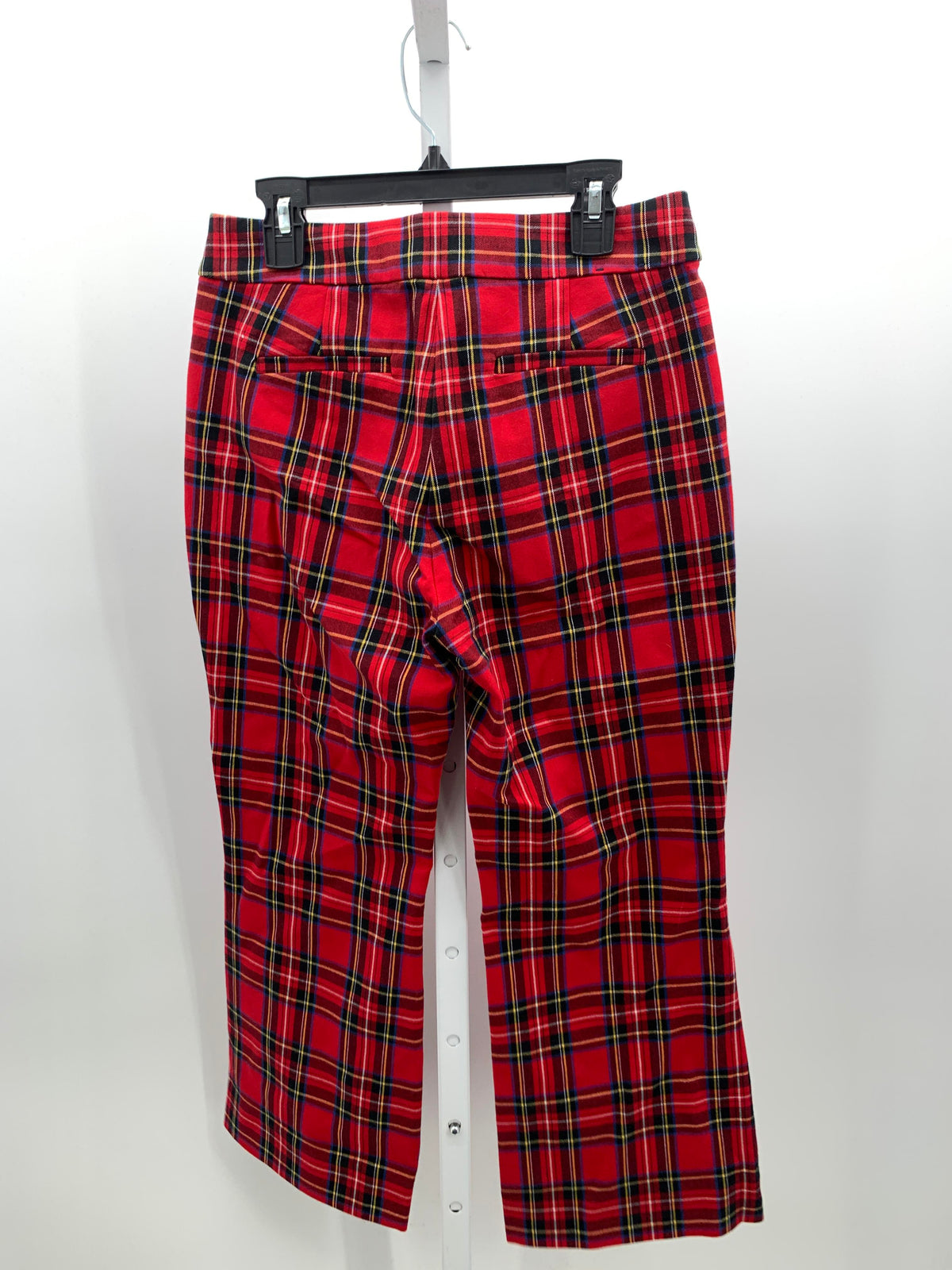 J. Crew Size 2 Petite Petite Pants