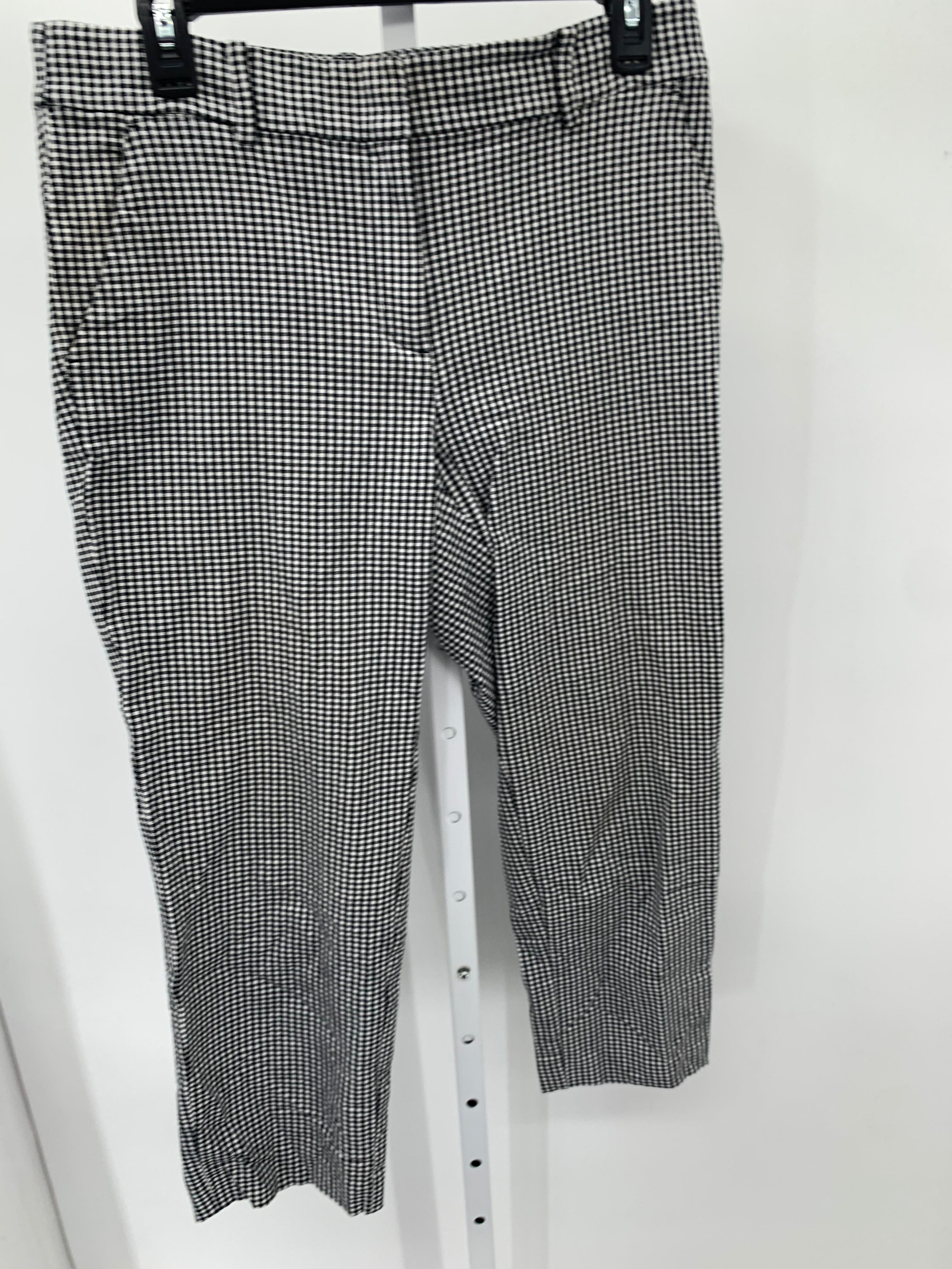 Loft Size 6 Misses Pants