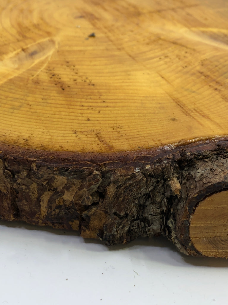 CIRCLE WOOD SLAB CENTERPIECE.