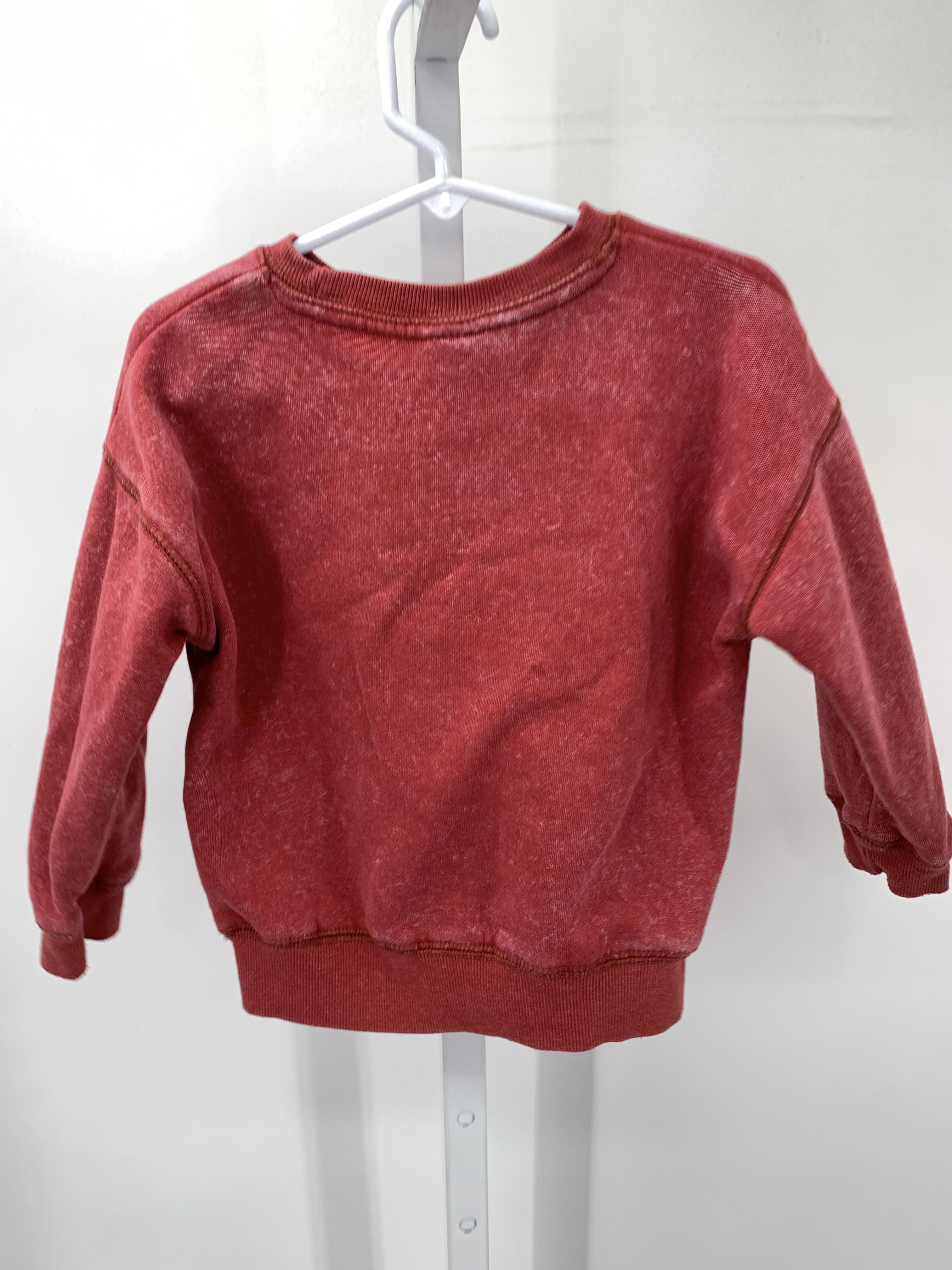 LONG SLV SWEAT SHIRT T-REX.