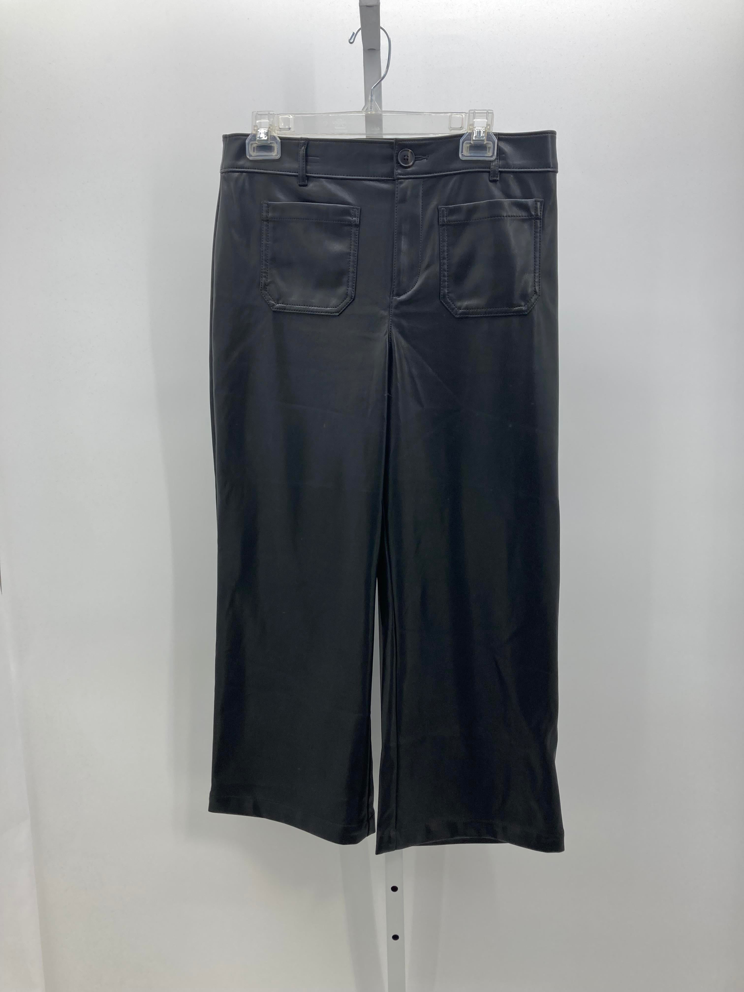 Loft Size 10 Petite Petite Pants