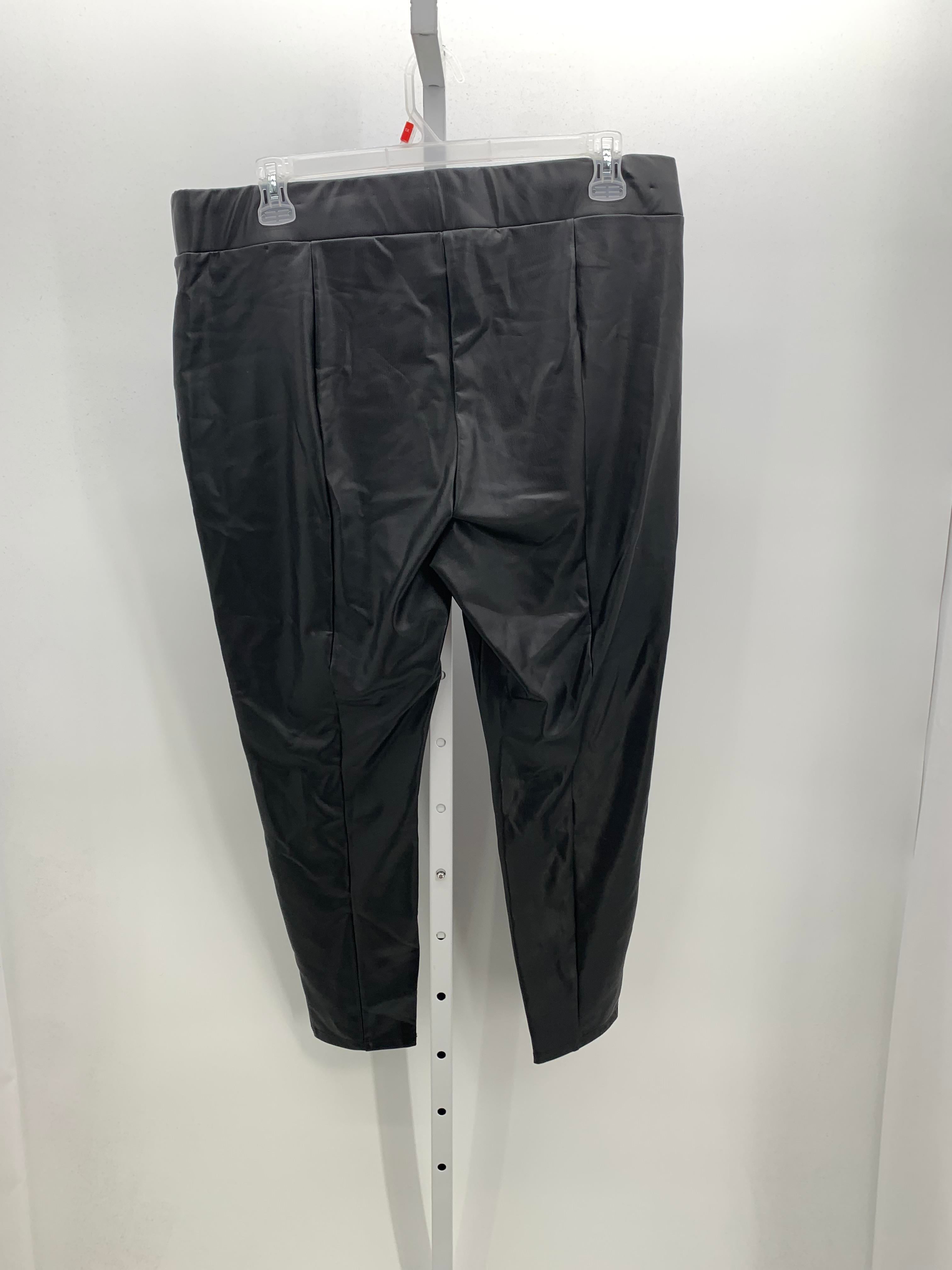 Loft Size XXL Misses Pants