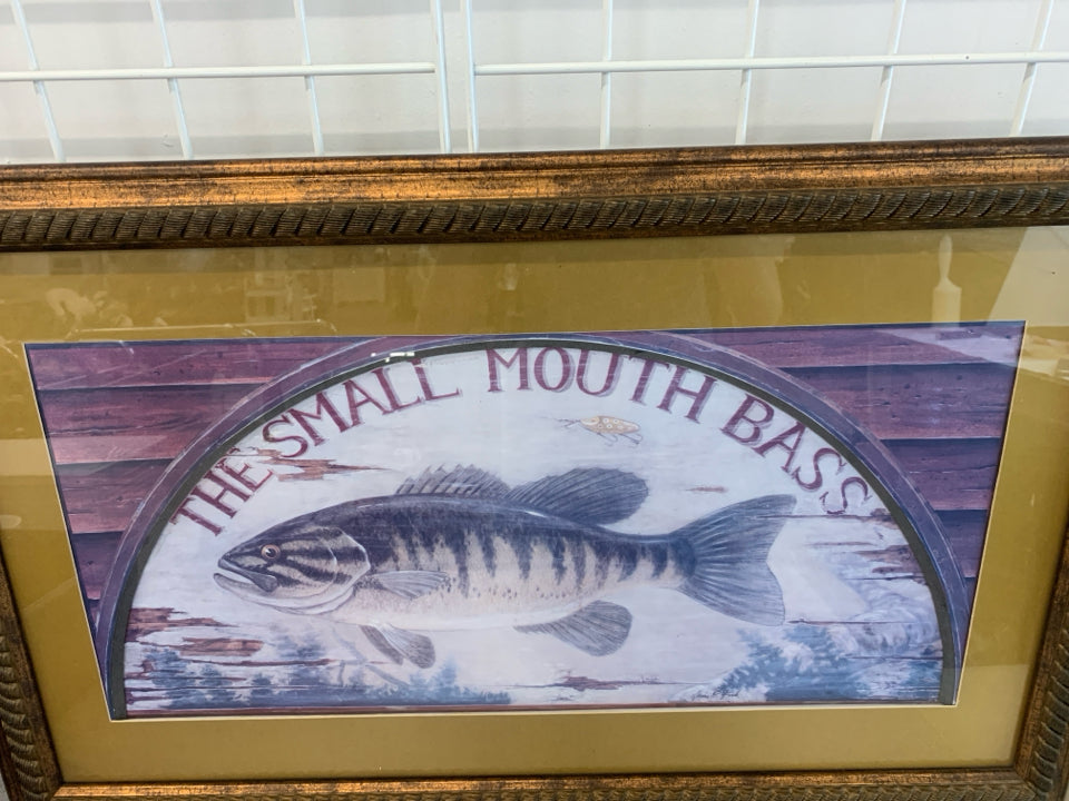 SMALL MOUTH BASS FISH PRINT IN BRONZE FRAME.
