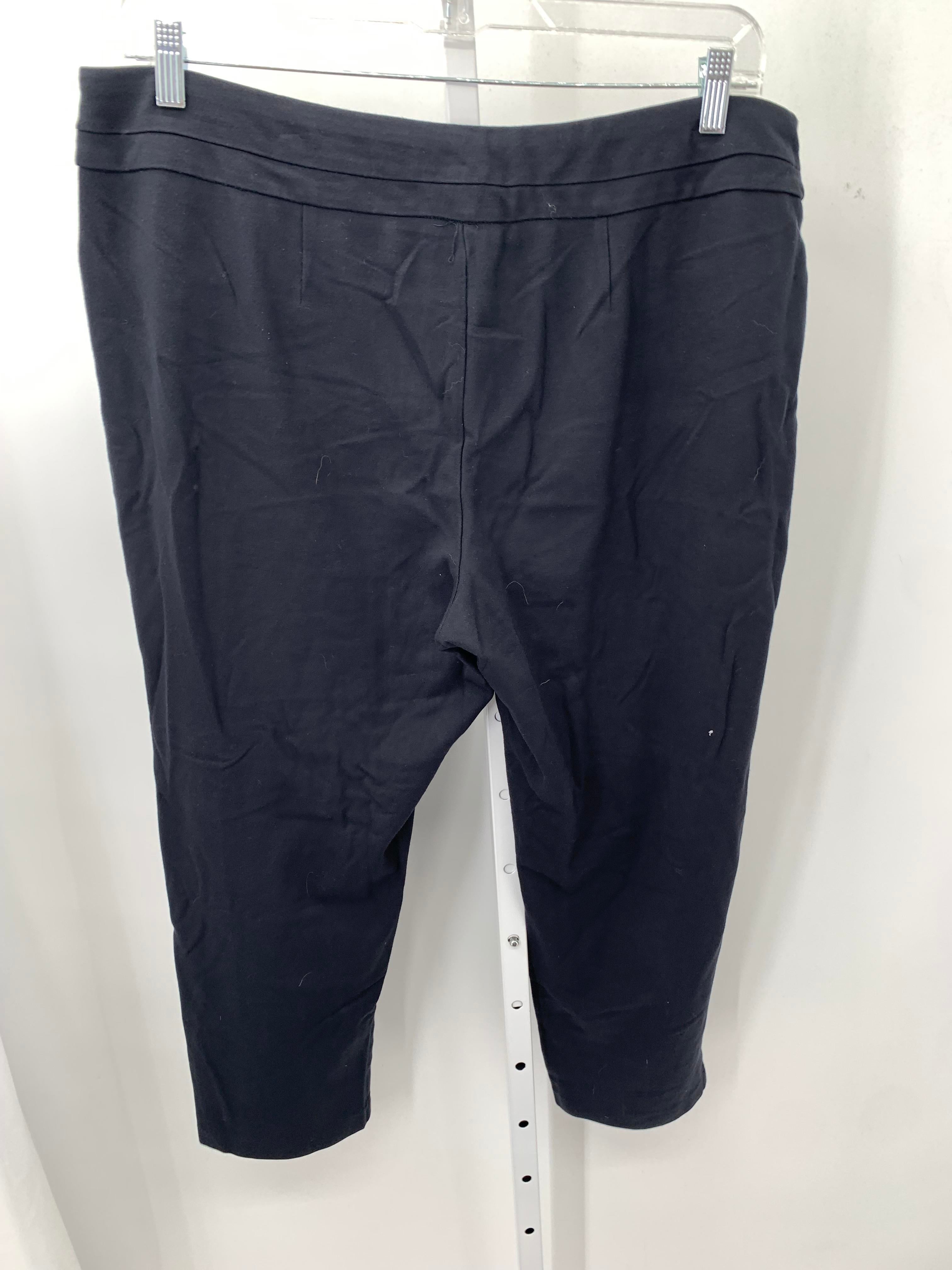 Zac & Rachel Size 2X Womens Pants