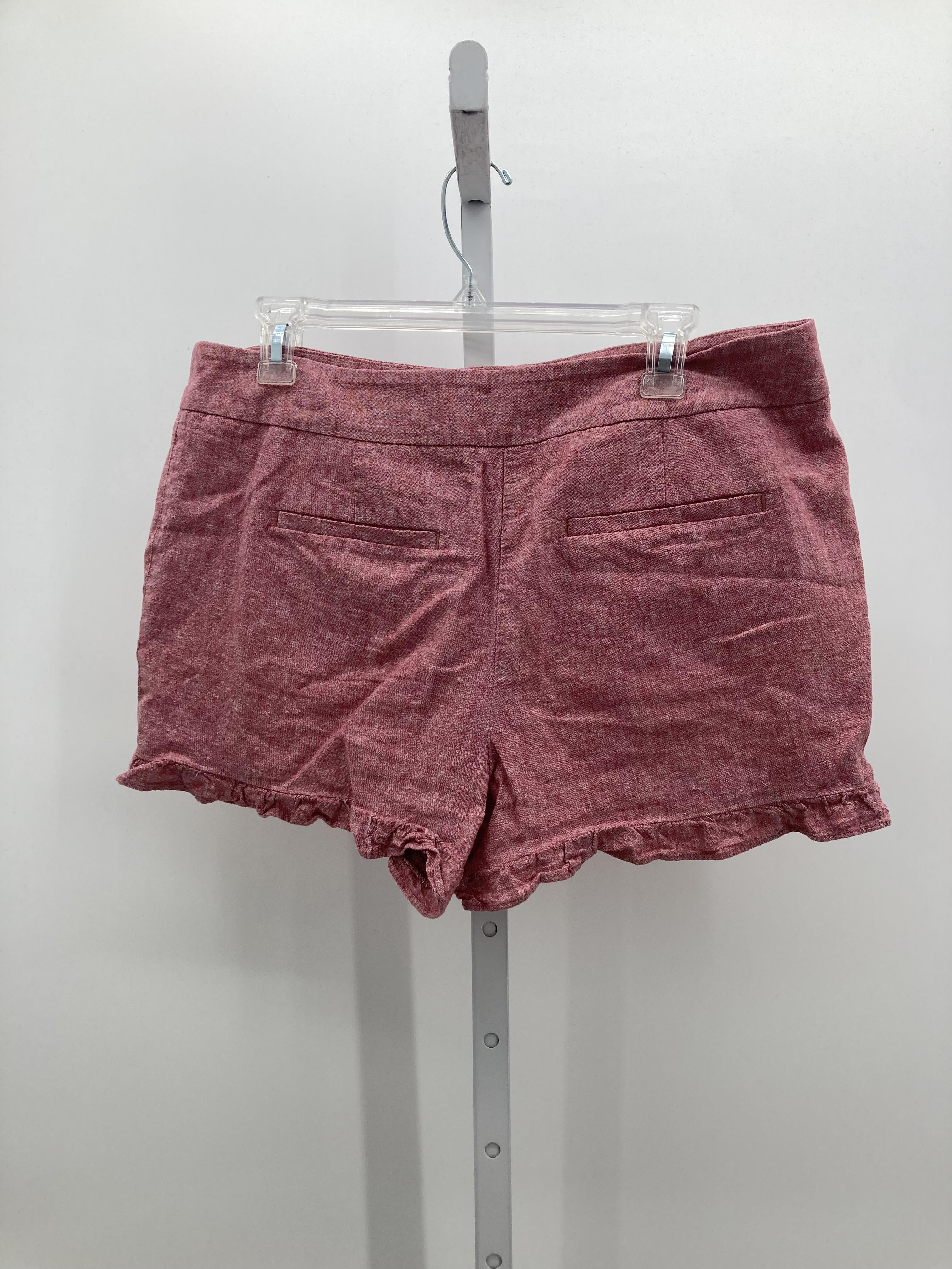 Loft Size 8 Misses Shorts