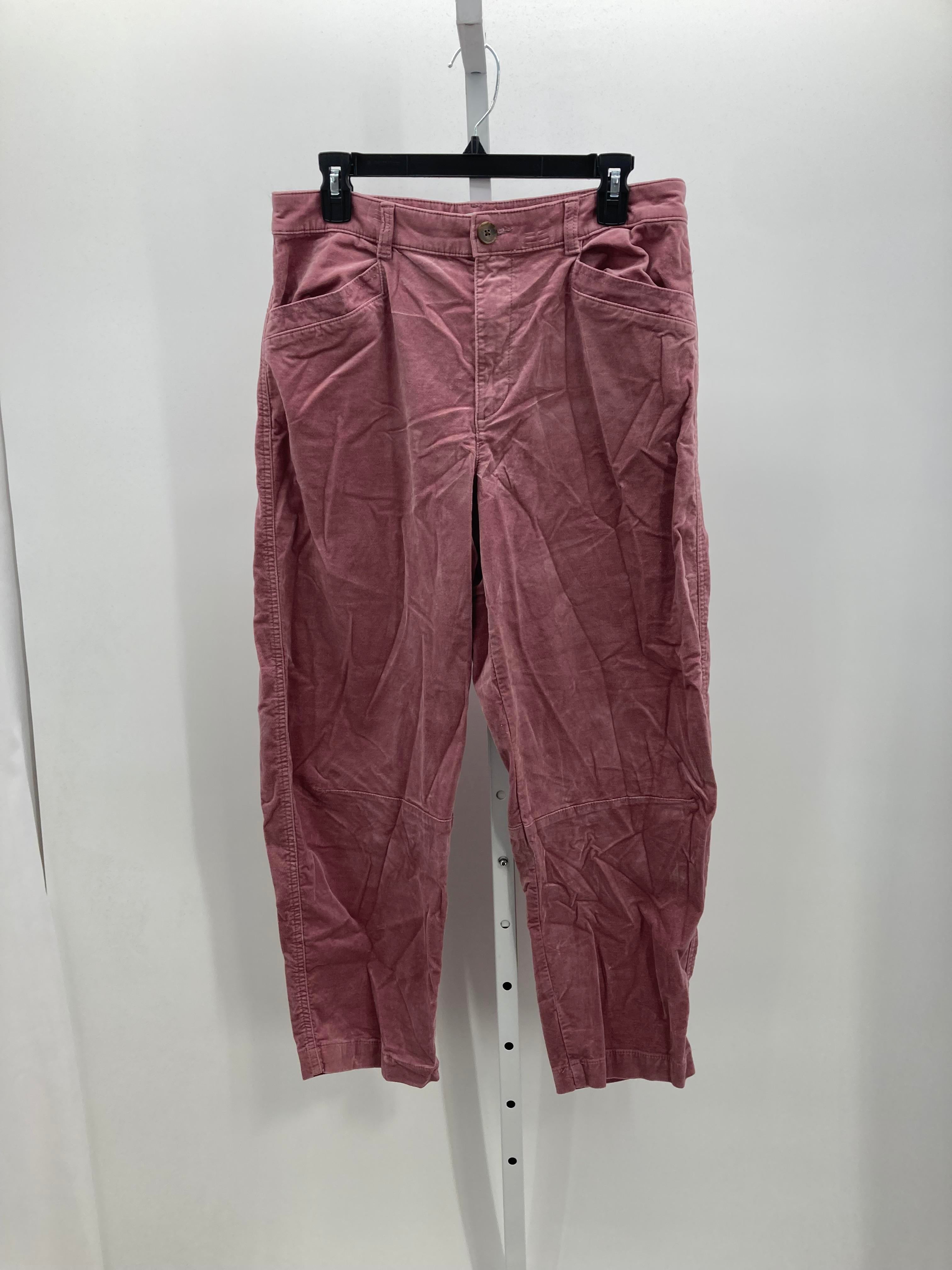 Loft Size 8 Misses Pants