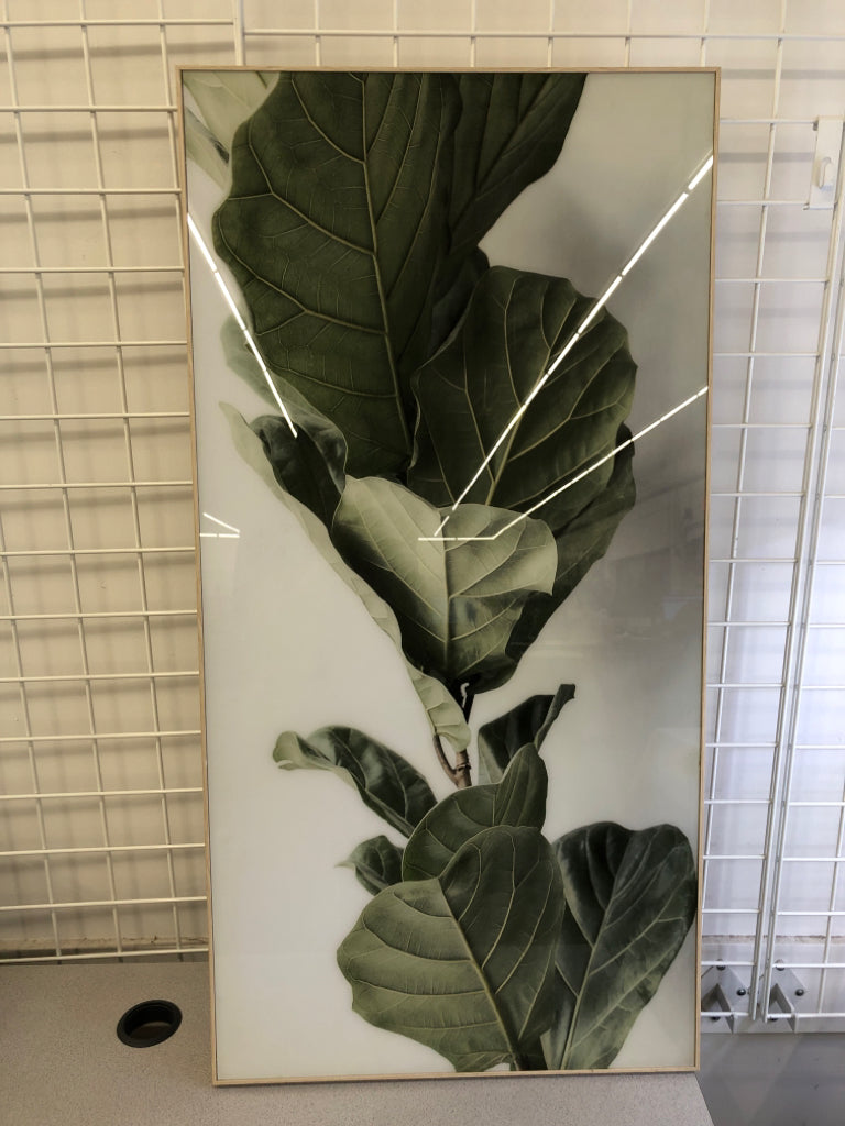 LARGE LEAF PHOTO IN LIGHT WOOD FRAME.