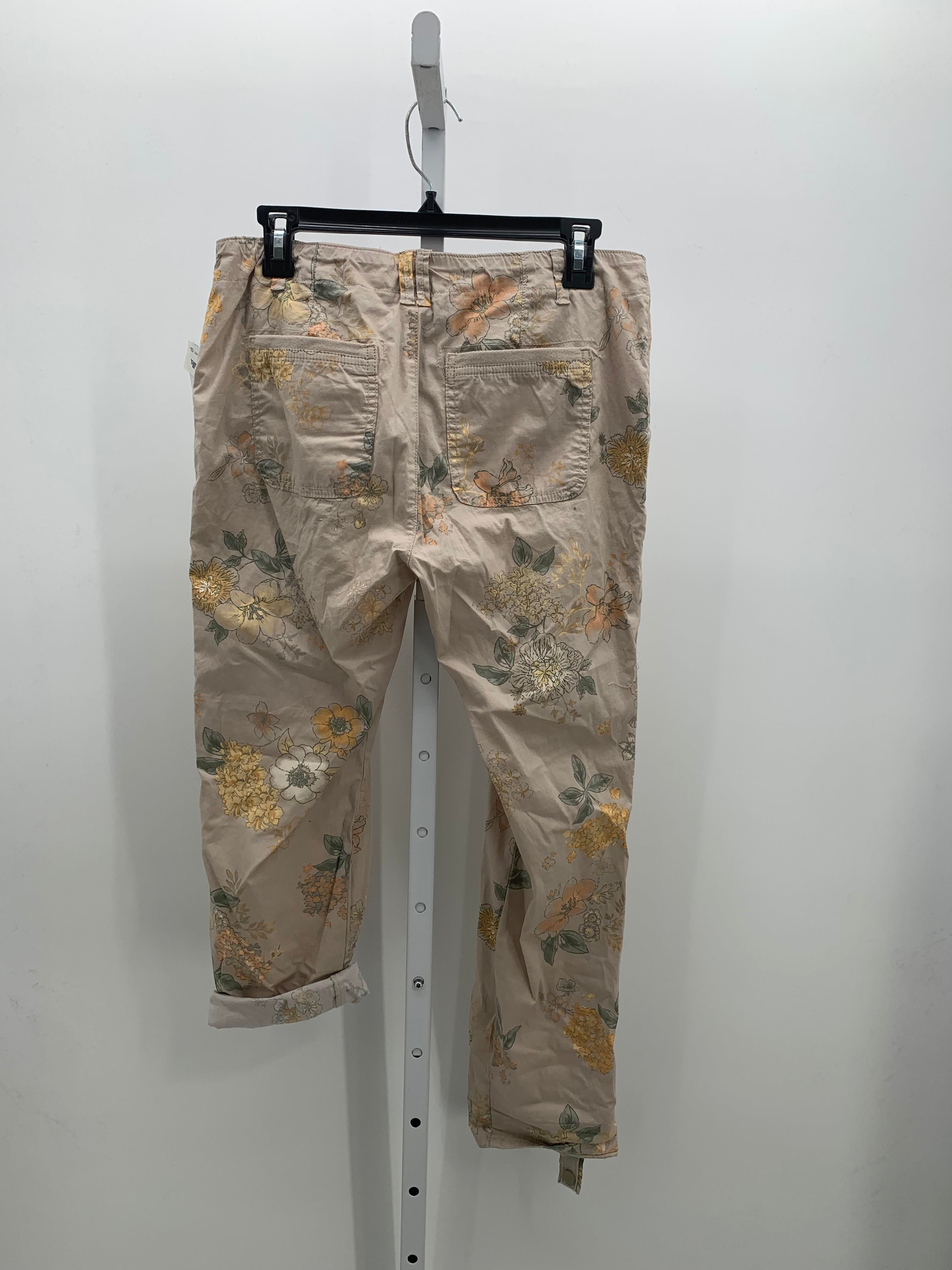 Democracy Size 4 Misses Pants