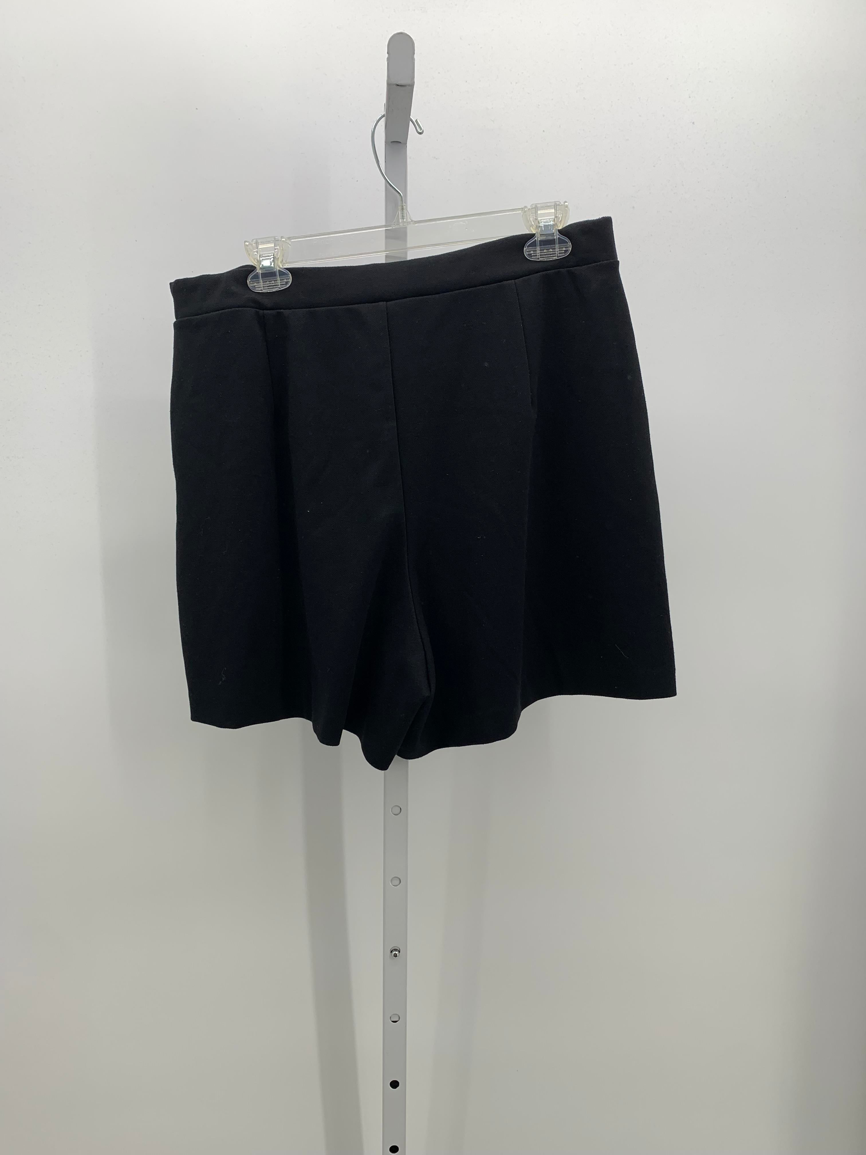 H&M Size Large Misses Shorts