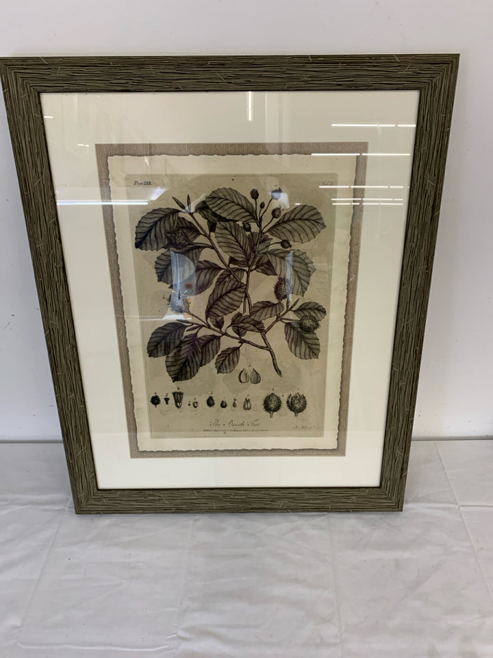 THE BEECH TREE BLACK/WHITE LARGE WALL ART DISTRESSED FRAME.