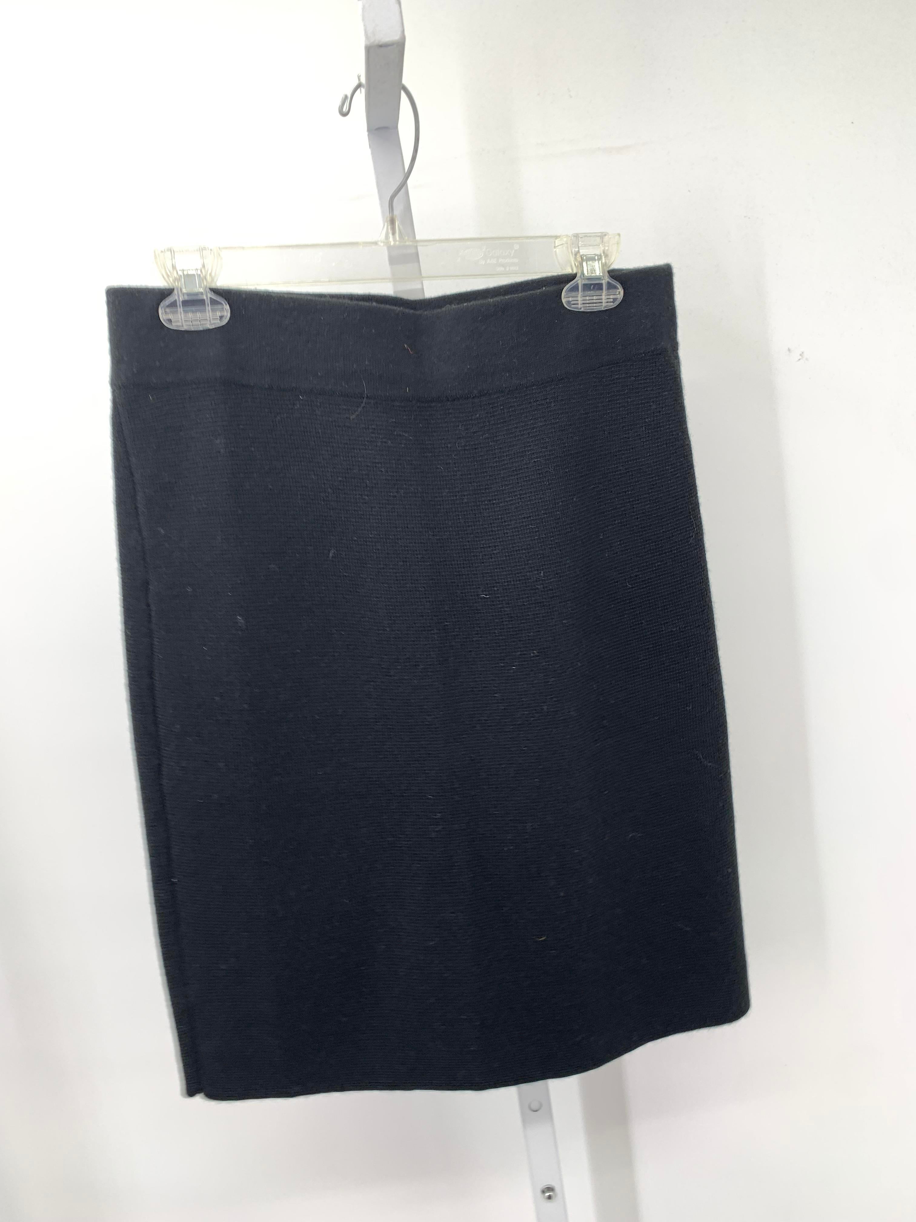 Ann Taylor Size Small Misses Skirt