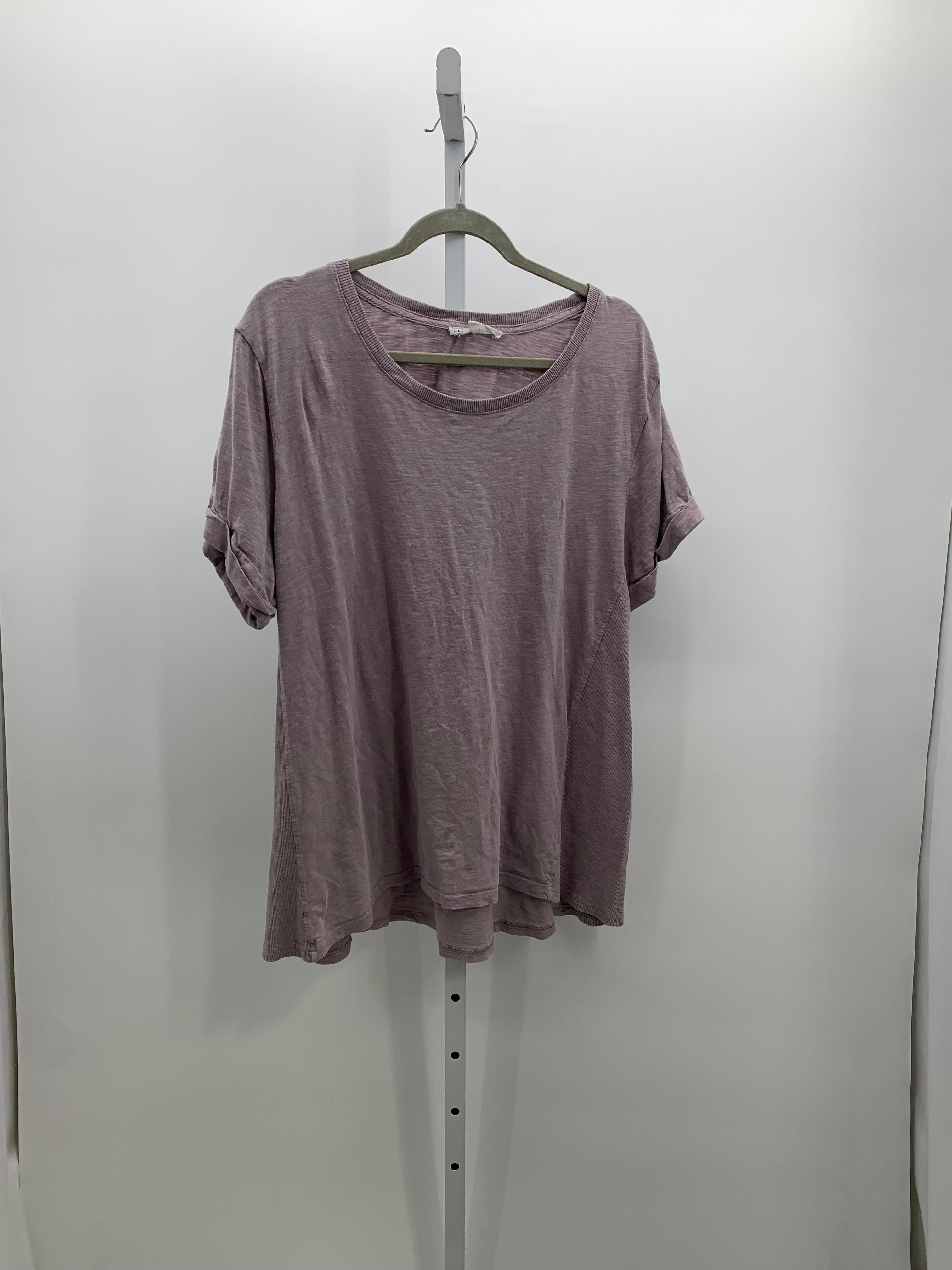 Jane + Delancey Size 1X Womens Short Sleeve Shirt
